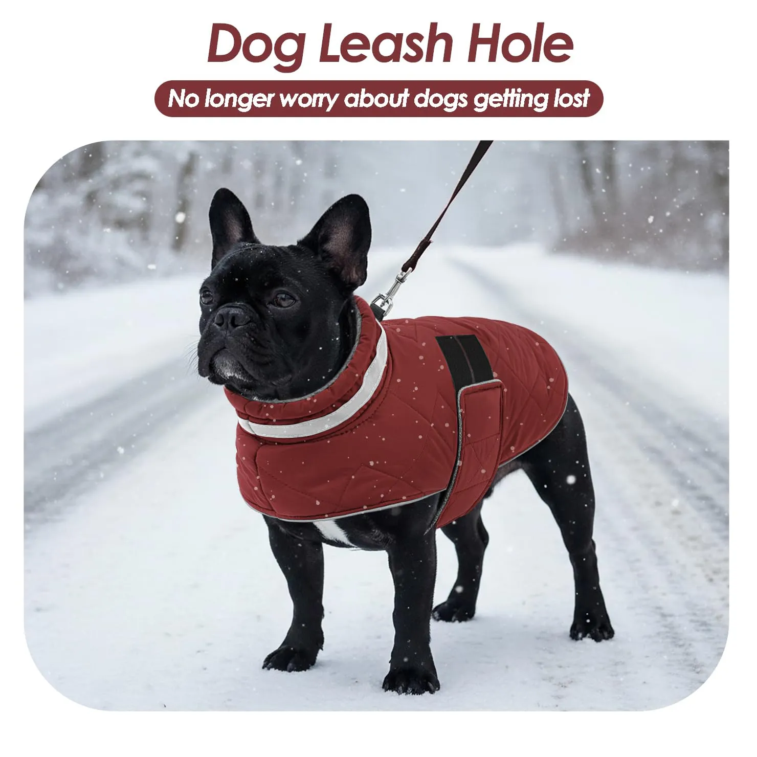 ASENKU Cappotto Invernale Cane 2XL per Cani Molto Grandi, Giacca Impermeabile Antivento Riflettente, Fodera in Pile Calda, Regolabile – Per Labrador, Golden Retriever, Pastore Tedesco - immagine 6