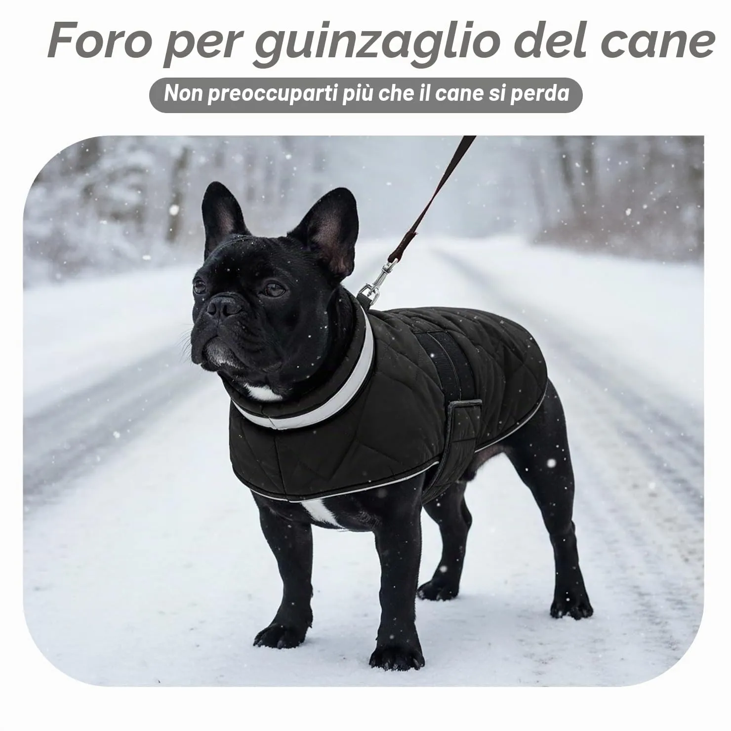 ASENKU Cappotto Invernale Impermeabile XS per Cani Piccoli, Giacca Calda con Strisce Riflettenti, Regolabile, Apertura per Collare,Ideale per Chihuahua, Volpino, Yorkshire per Passeggiate Pioggia Neve - immagine 6