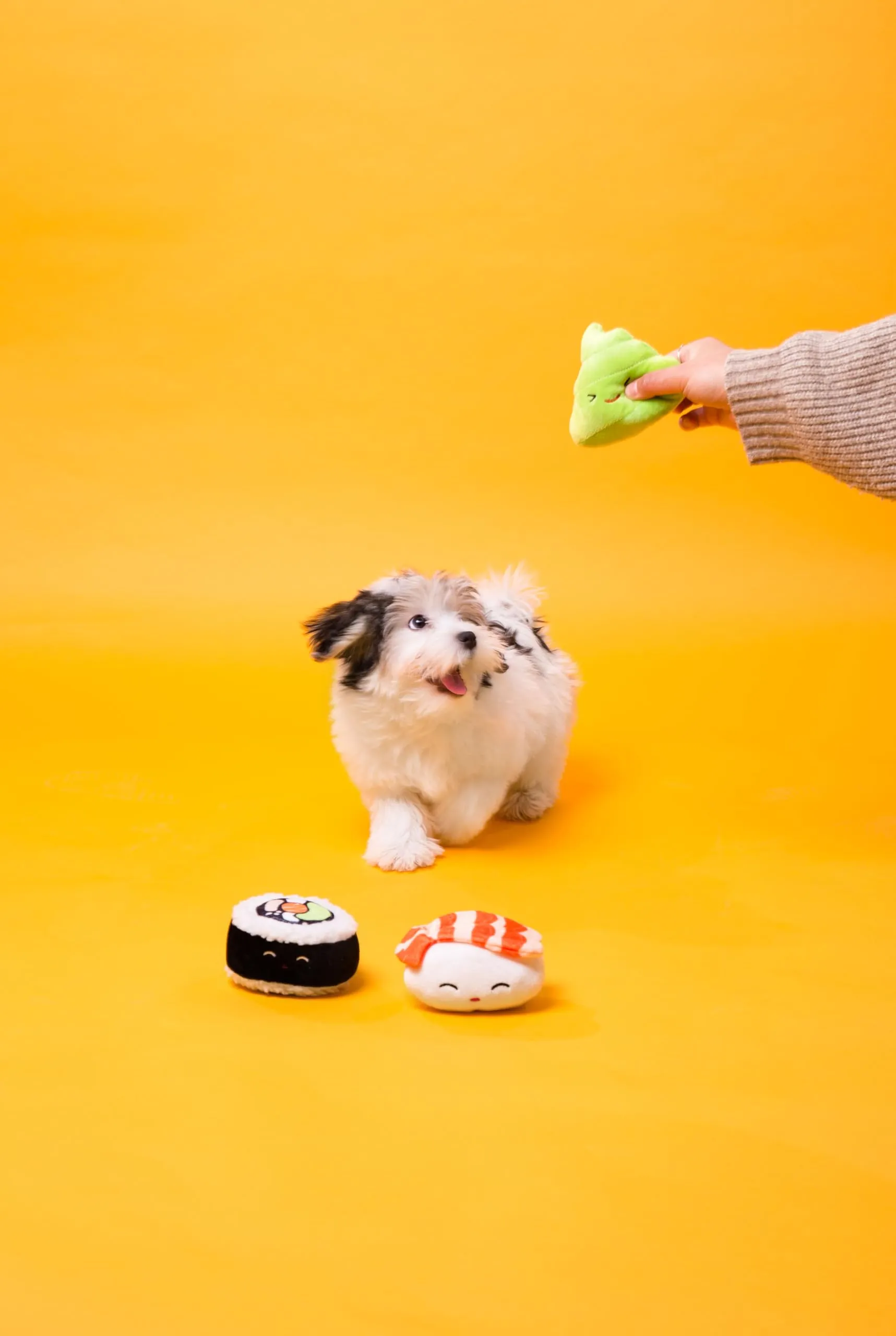 Pearhead Sushi Pet Toys - Set di 3 giocattoli per cani in peluche, per il proprietario di animali domestici deve avere accessorio per cani, morbidi giocattoli che squittiano, set di 3 - immagine 6
