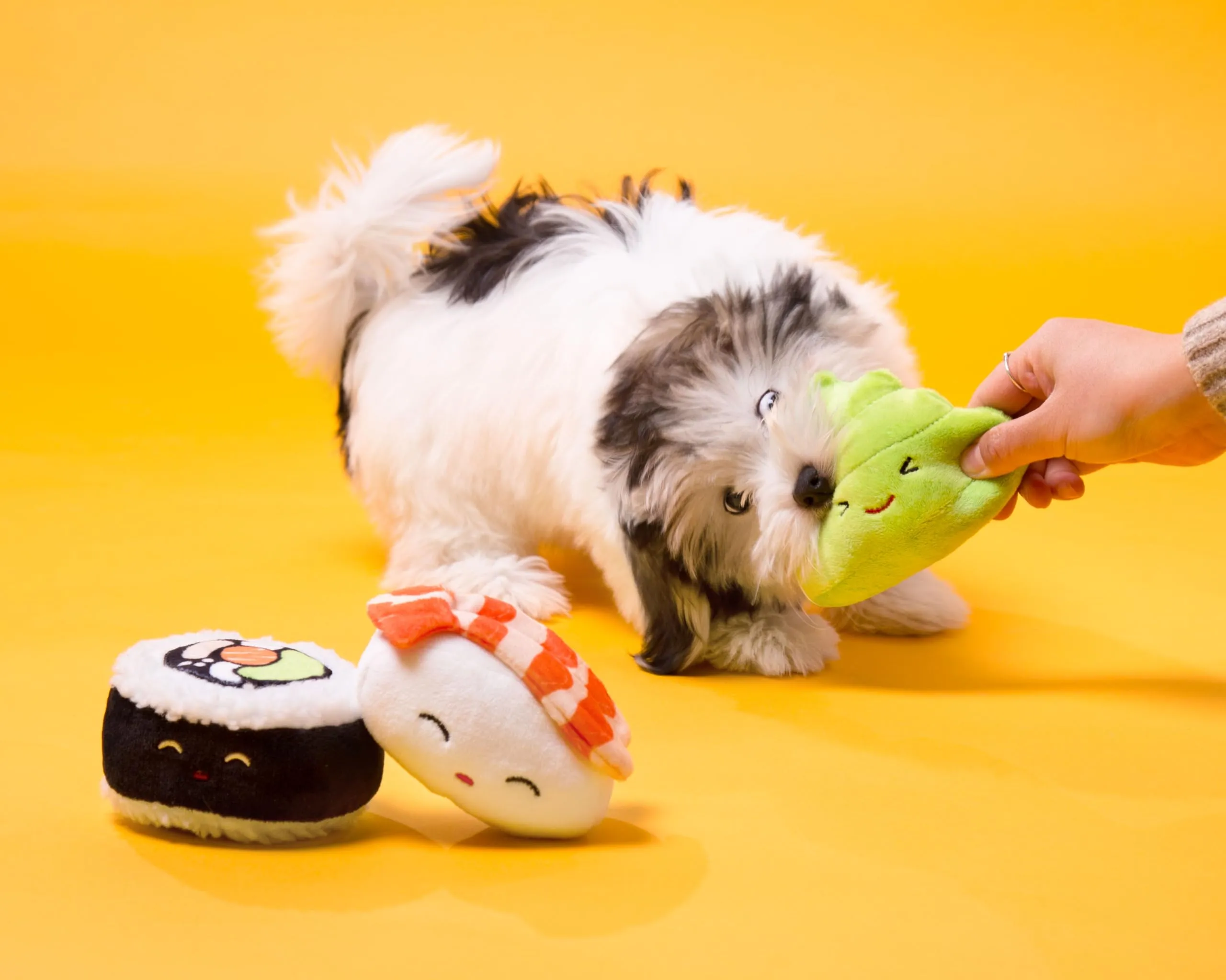 Pearhead Sushi Pet Toys - Set di 3 giocattoli per cani in peluche, per il proprietario di animali domestici deve avere accessorio per cani, morbidi giocattoli che squittiano, set di 3 - immagine 8