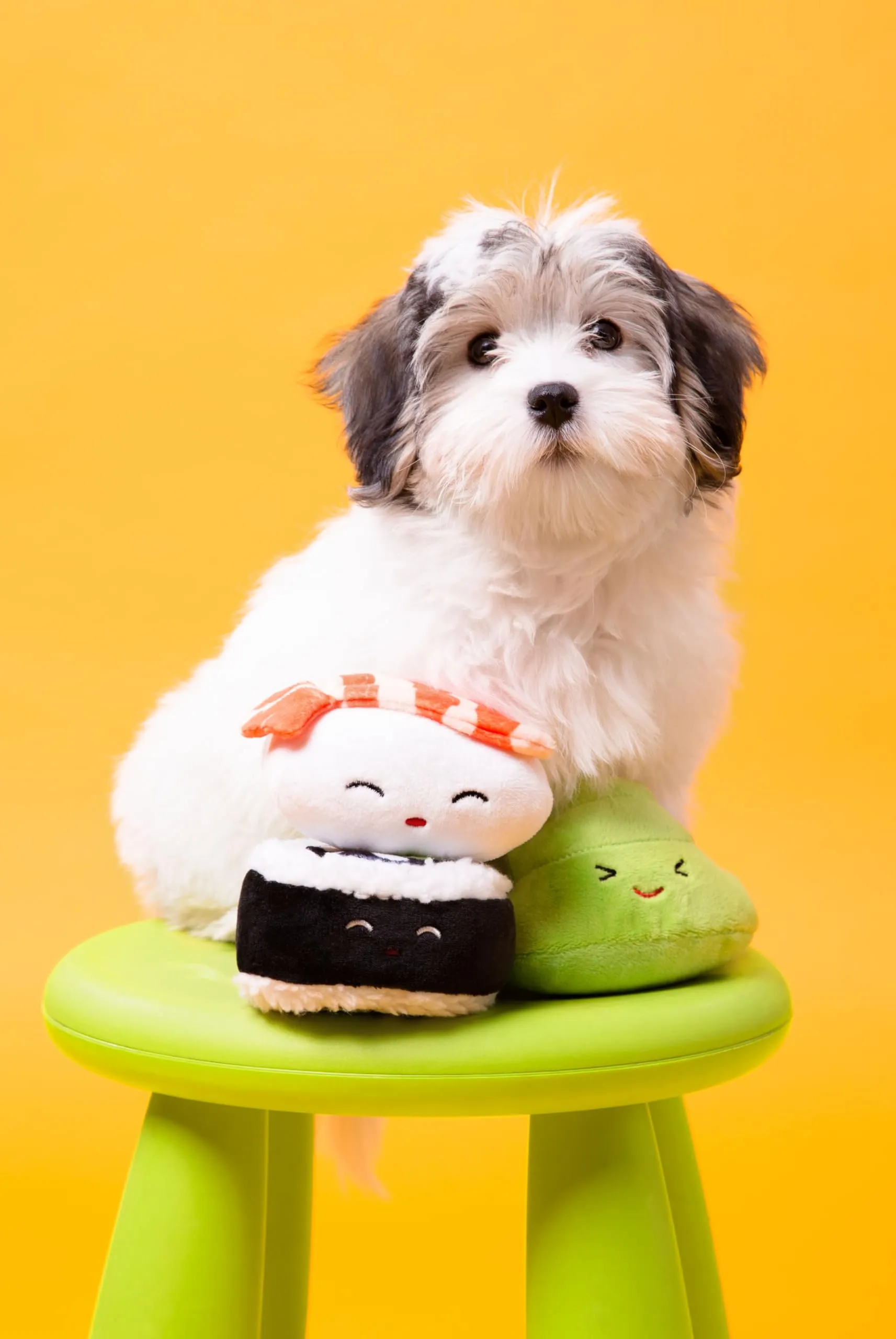 Pearhead Sushi Pet Toys - Set di 3 giocattoli per cani in peluche, per il proprietario di animali domestici deve avere accessorio per cani, morbidi giocattoli che squittiano, set di 3 - immagine 9
