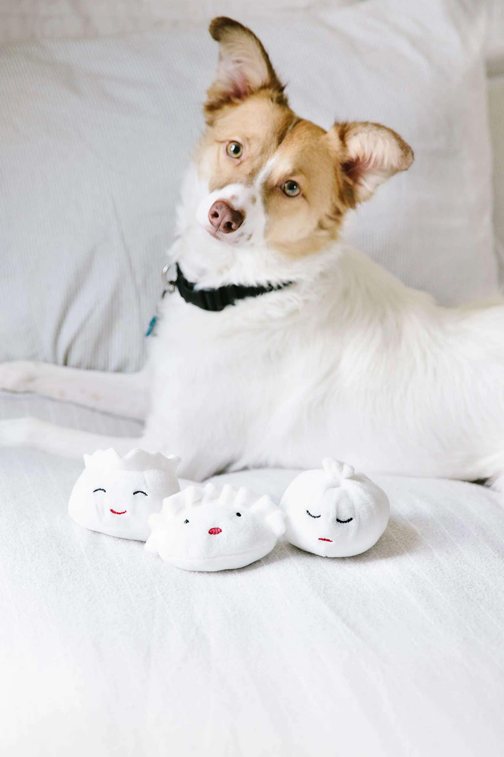 Pearhead Dim Sum - Set di 3 giocattoli per animali domestici, set di 3 giocattoli per cani che scricchiolano il proprietario di animali domestici, colore: bianco - immagine 6