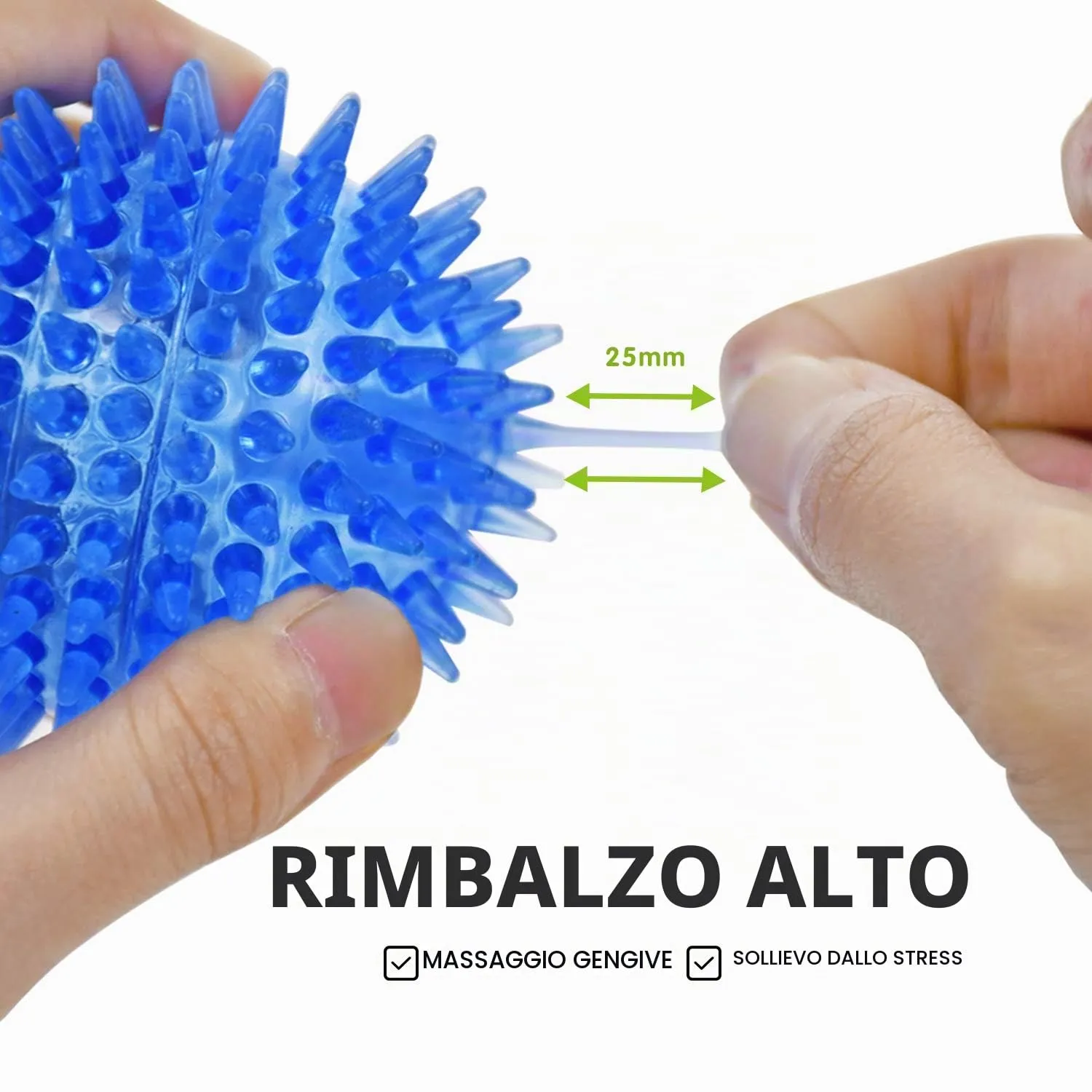 SHARLOVY Palline cigolanti TPR per cuccioli piccoli, confezione 6 pezzi, colori vivaci per dentizione e gioco - immagine 5