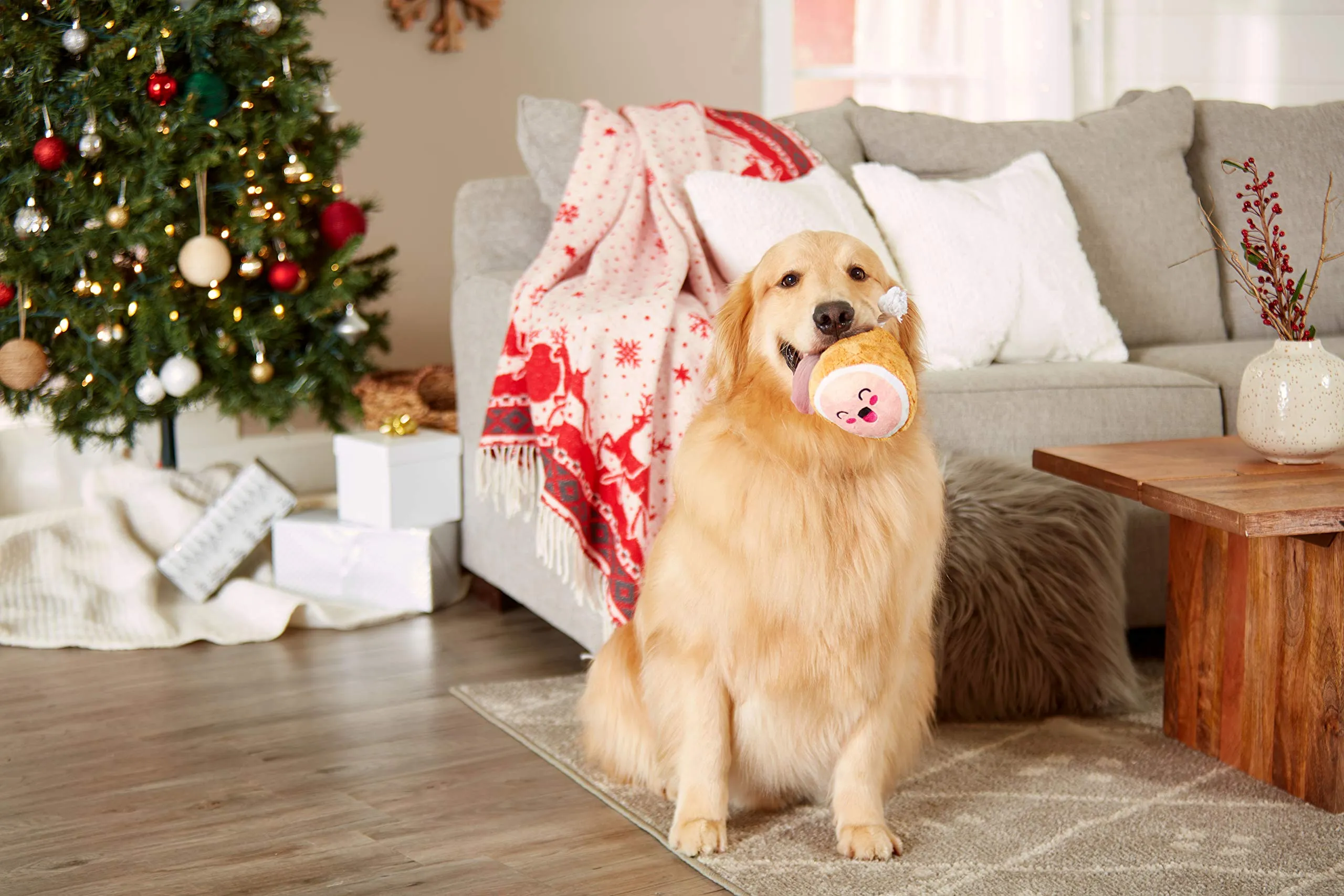 Pearhead Pet M.C. Hammy Dog Toy, giocattolo natalizio per cani, regalo per le vacanze, giocattolo indispensabile per le vacanze - immagine 3