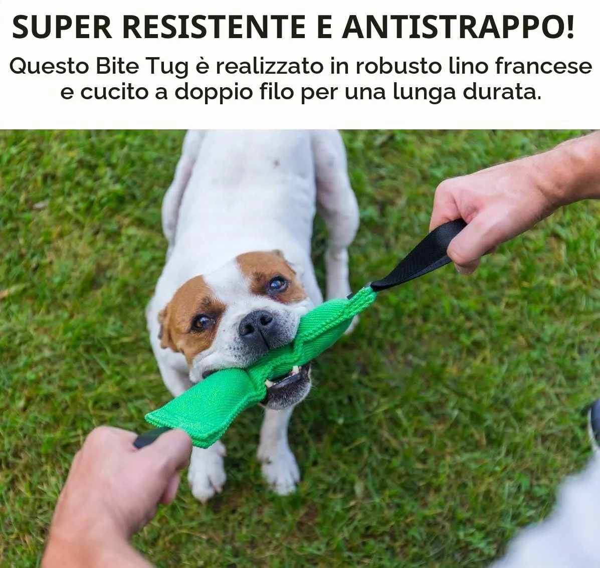 Bull Fit Manicotto per cani, con due fiocchi, 30 cm, verde - immagine 3