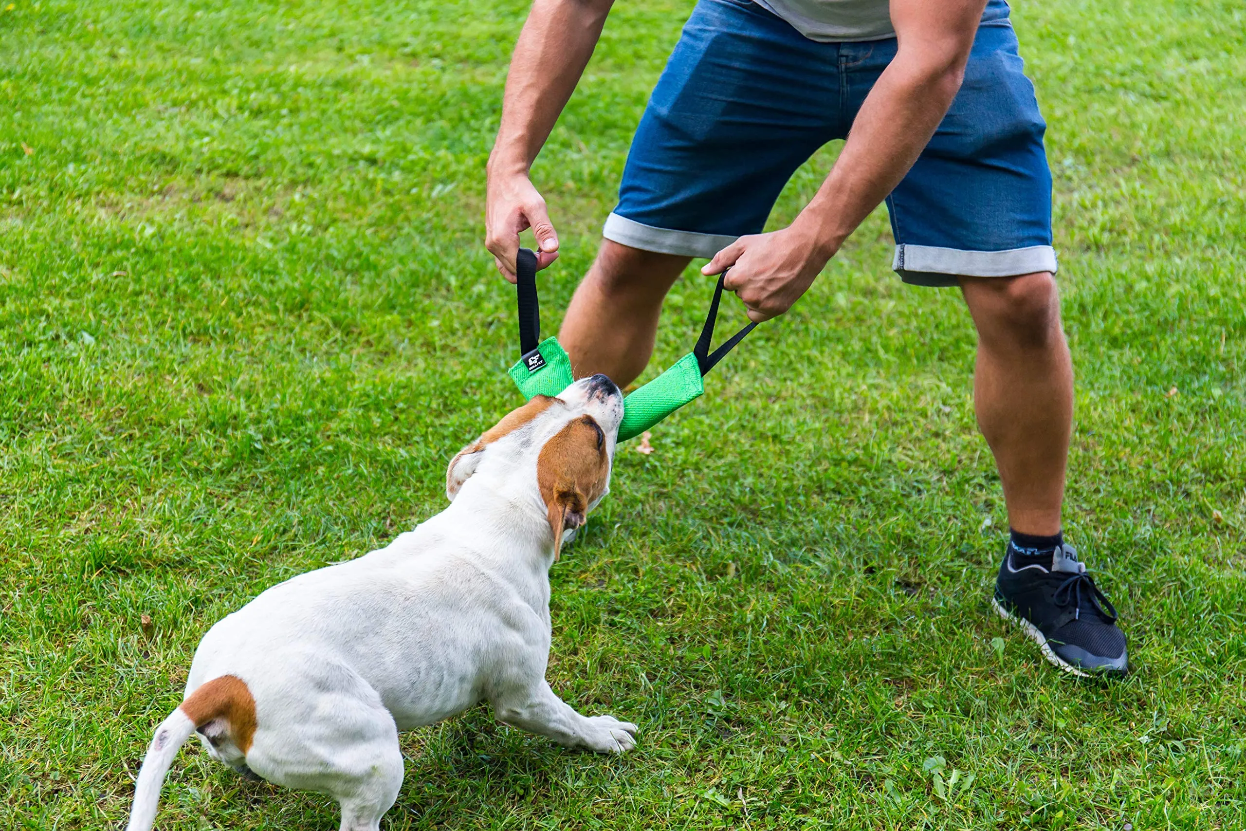 Bull Fit Manicotto per cani, con due fiocchi, 30 cm, verde - immagine 8