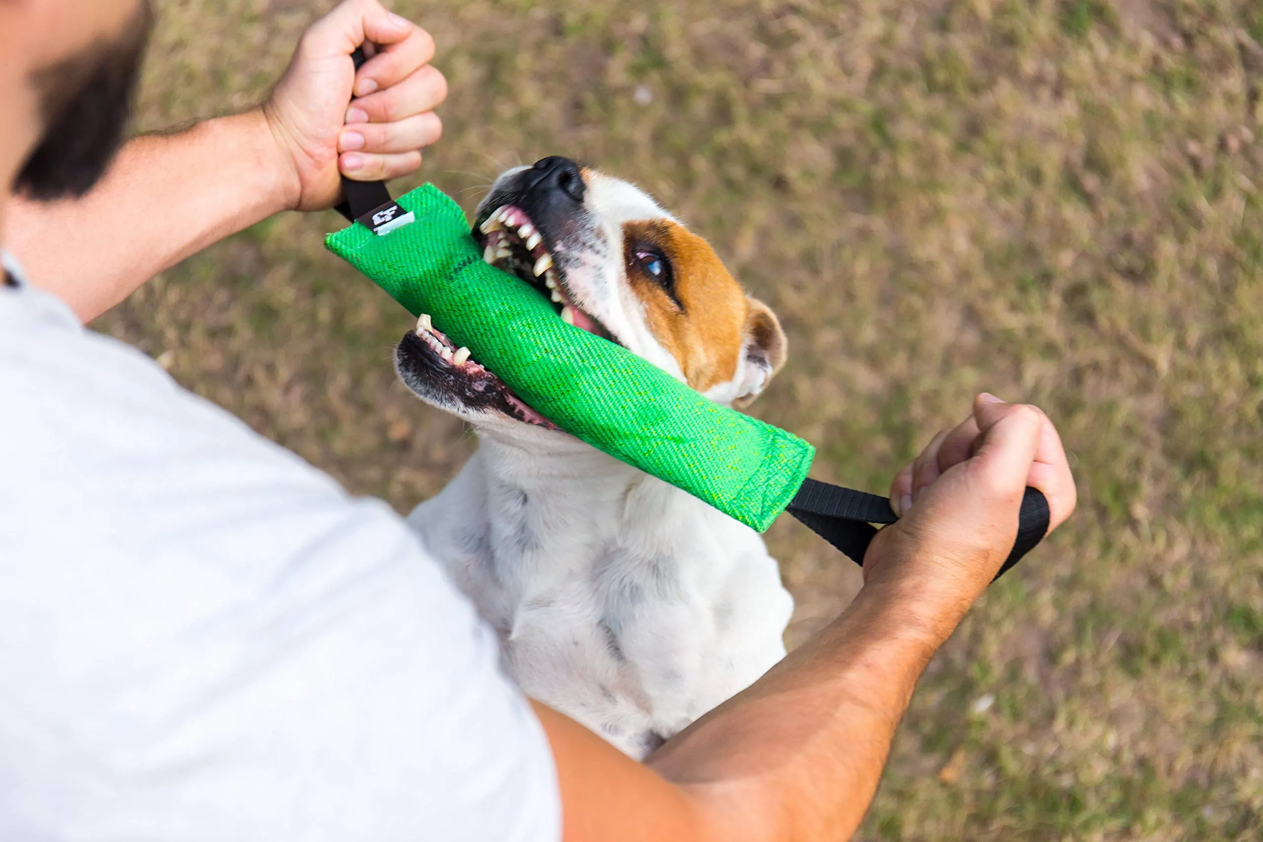 Bull Fit Manicotto per cani, con due fiocchi, 30 cm, verde - immagine 9