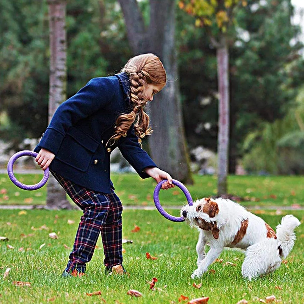 Ferplast Gioco Cane, Anello Addestramento Cani da Masticare, per Corsa, Salto, Tiro, Materiale Robusto Atossico, Galleggiante, PULLER MINI, Gioco Cane Piccolo e Cuccioli, Set di 2 Anelli Fitness - immagine 2