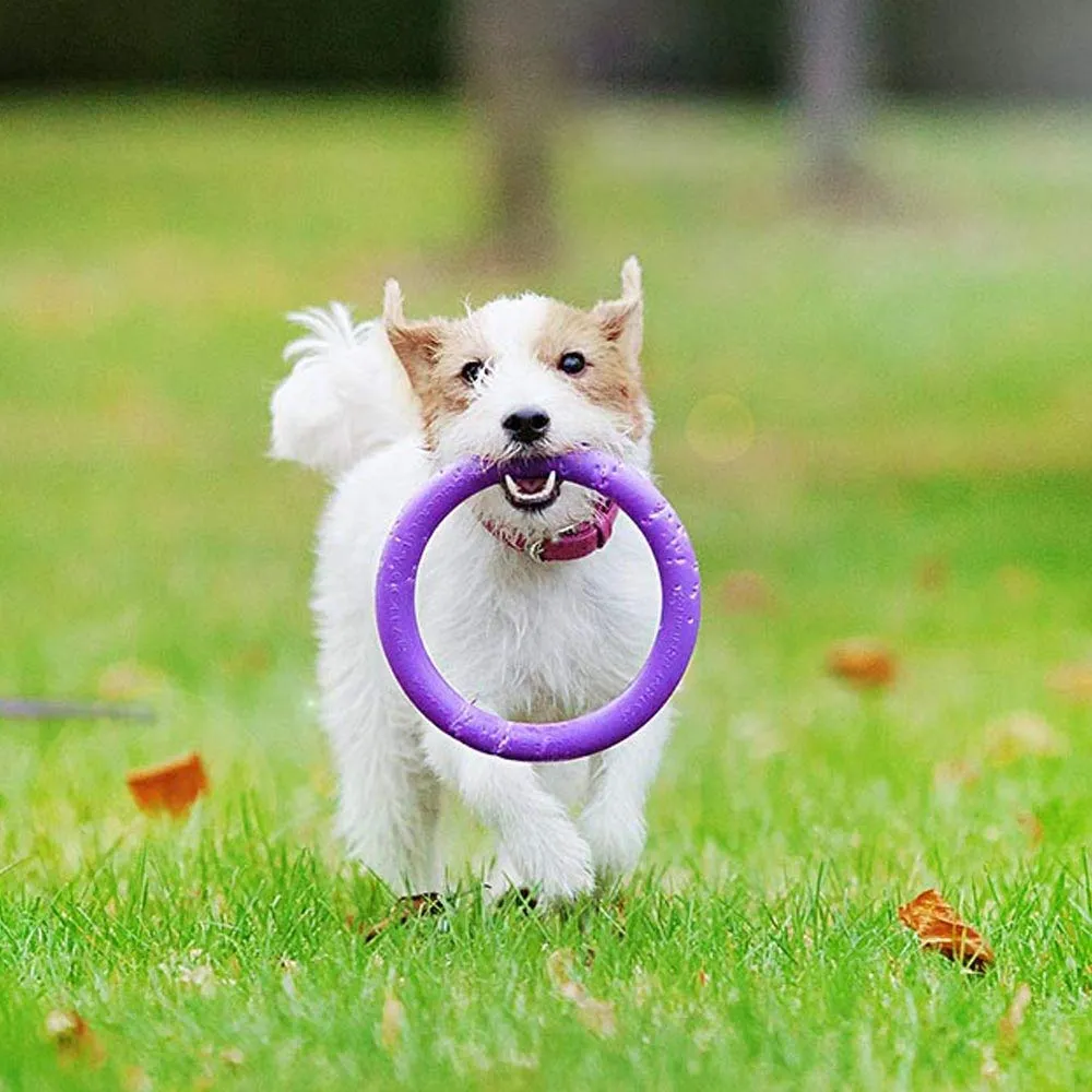 Ferplast Gioco Cane, Anello Addestramento Cani da Masticare, per Corsa, Salto, Tiro, Materiale Robusto Atossico, Galleggiante, PULLER MINI, Gioco Cane Piccolo e Cuccioli, Set di 2 Anelli Fitness - immagine 3