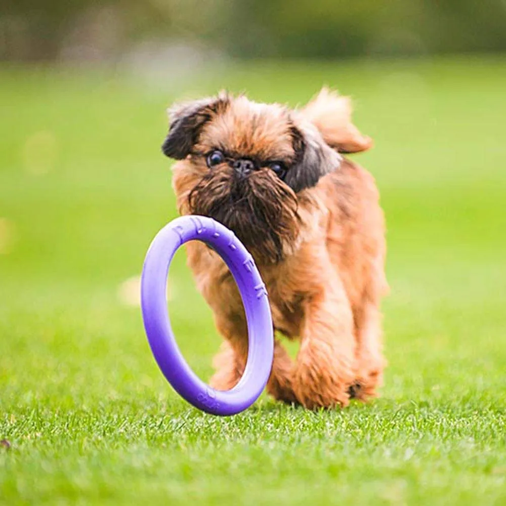 Ferplast Gioco Cane, Anello Addestramento Cani da Masticare, per Corsa, Salto, Tiro, Materiale Robusto Atossico, Galleggiante, PULLER MINI, Gioco Cane Piccolo e Cuccioli, Set di 2 Anelli Fitness - immagine 4