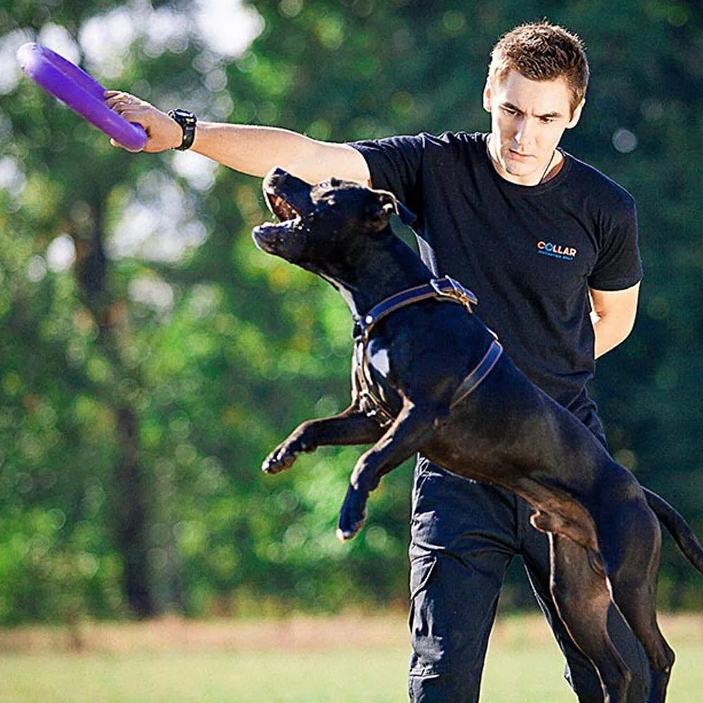 Ferplast Gioco Cane, Anello Addestramento Cani da Masticare, per Corsa, Salto, Tiro, Materiale Robusto Atossico, Galleggiante, PULLER STANDARD, Giochi per Cane, Set di 2 Anelli Fitness - immagine 3