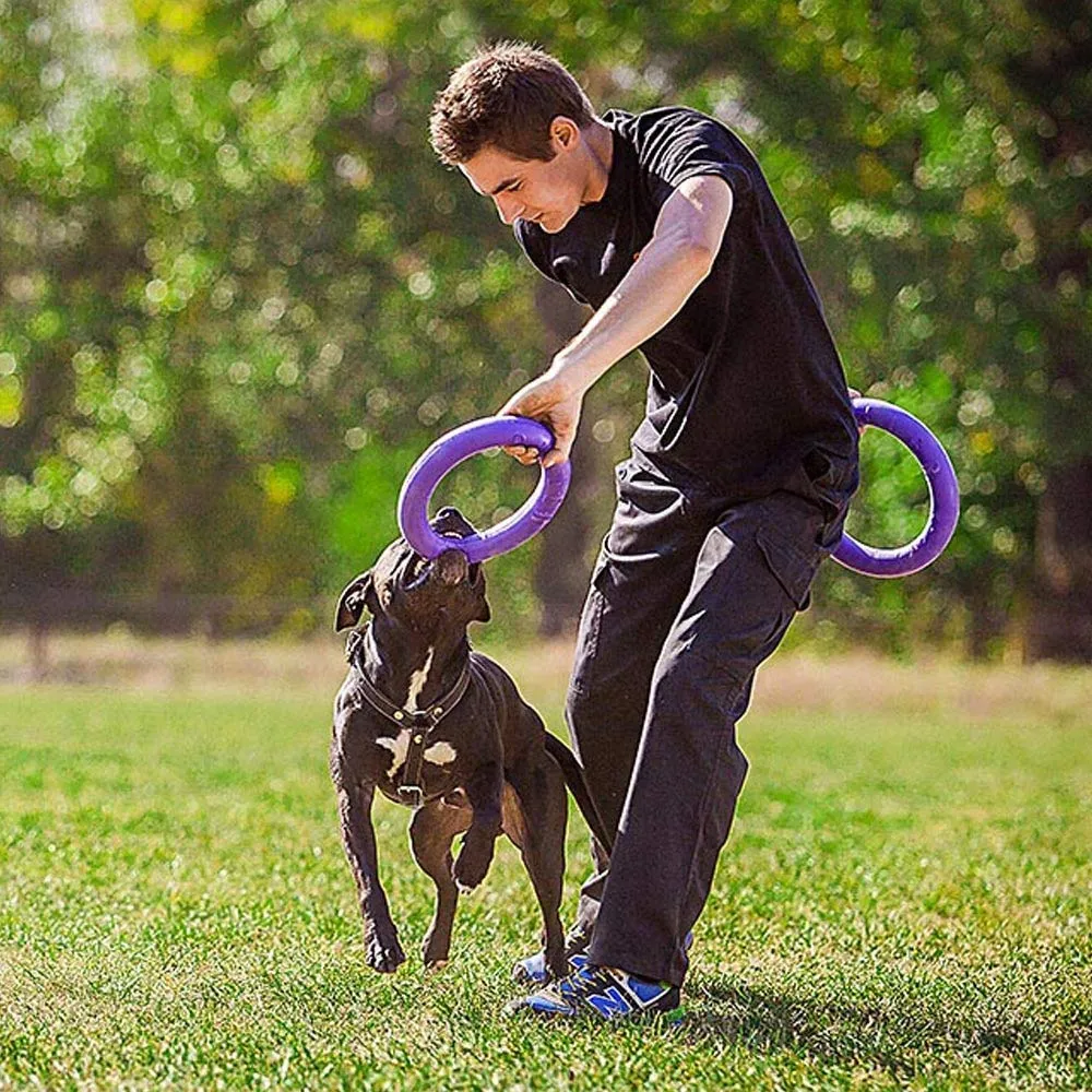 Ferplast Gioco Cane, Anello Addestramento Cani da Masticare, per Corsa, Salto, Tiro, Materiale Robusto Atossico, Galleggiante, PULLER STANDARD, Giochi per Cane, Set di 2 Anelli Fitness - immagine 4