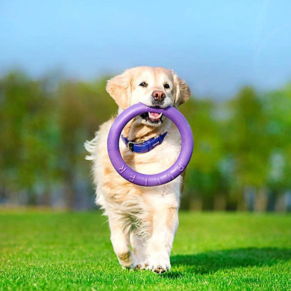 Ferplast Gioco Cane, Anello Addestramento Cani da Masticare, per Corsa, Salto, Tiro, Materiale Robusto Atossico, Galleggiante, PULLER STANDARD, Giochi per Cane, Set di 2 Anelli Fitness - immagine 6