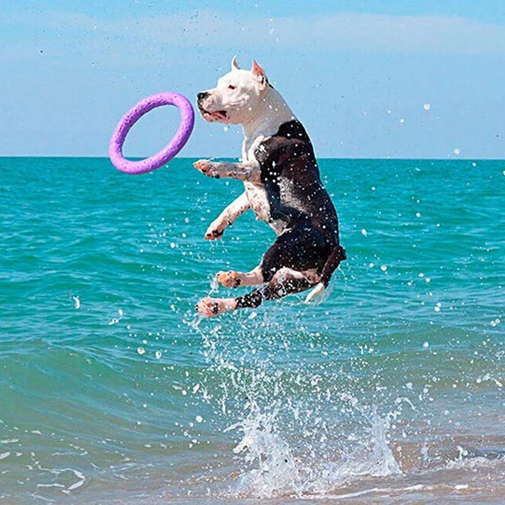 Ferplast Gioco Cane, Anello Addestramento Cani da Masticare, per Corsa, Salto, Tiro, Materiale Robusto Atossico, Galleggiante, PULLER STANDARD, Giochi per Cane, Set di 2 Anelli Fitness - immagine 7