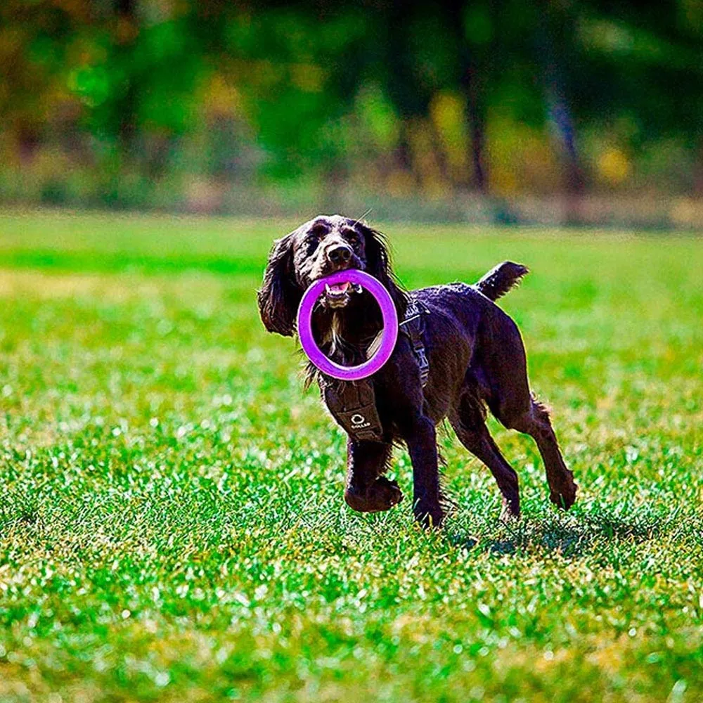 Ferplast Gioco Cane, Anello Addestramento Cani da Masticare, per Corsa, Salto, Tiro, Materiale Robusto Atossico, Galleggiante, PULLER MIDI, Giochi per Cane Piccolo e Medio, Set di 2 Anelli Fitness - immagine 3