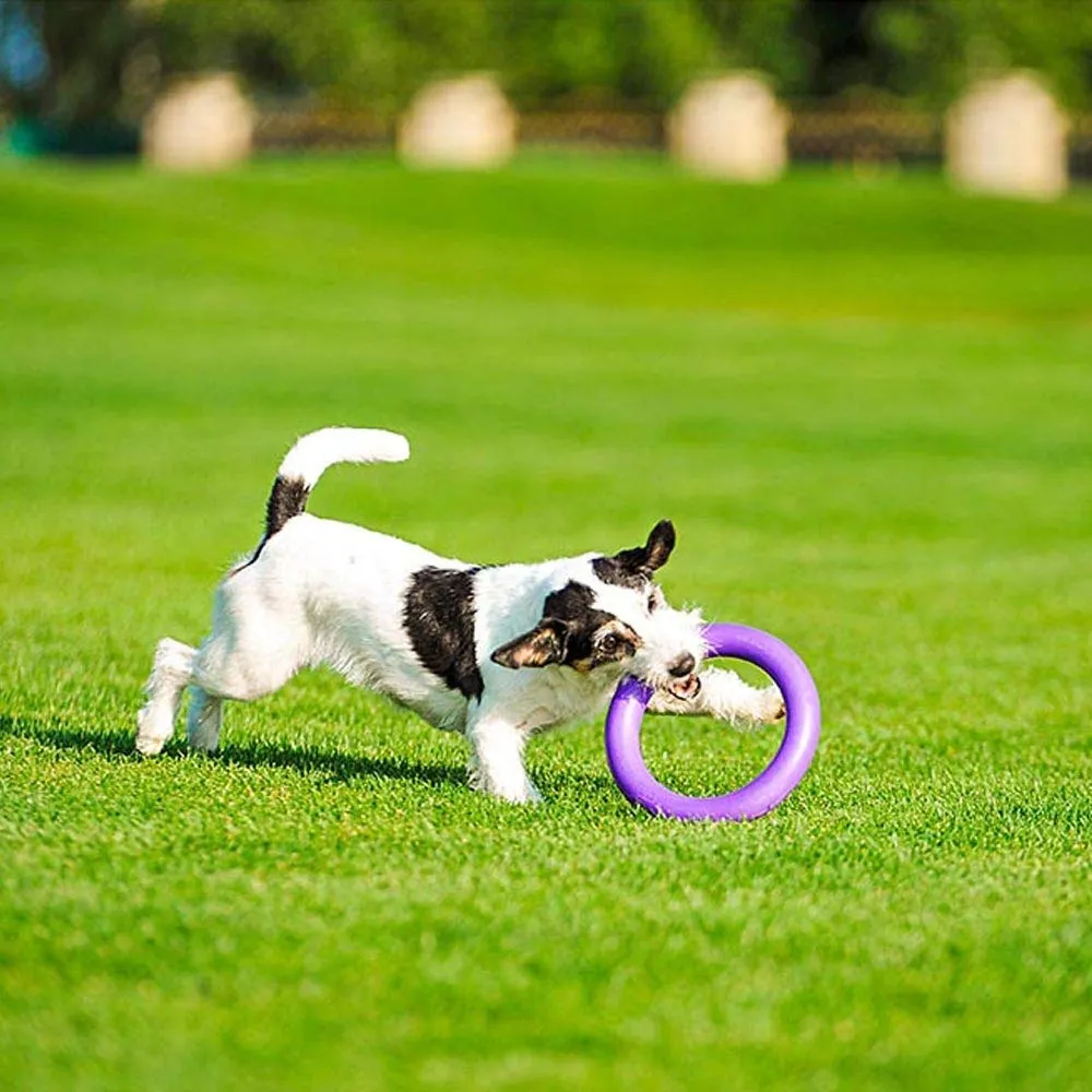 Ferplast Gioco Cane, Anello Addestramento Cani da Masticare, per Corsa, Salto, Tiro, Materiale Robusto Atossico, Galleggiante, PULLER MIDI, Giochi per Cane Piccolo e Medio, Set di 2 Anelli Fitness - immagine 4