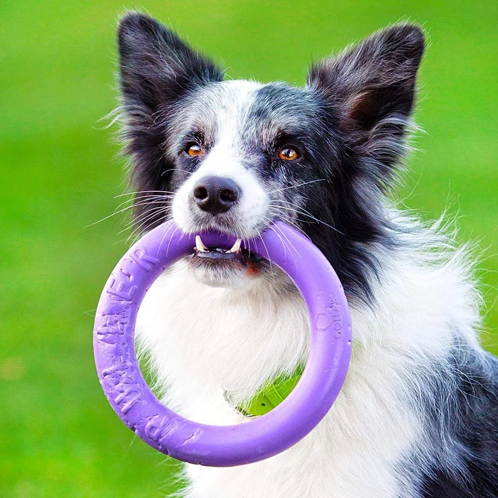 Ferplast Gioco Cane, Anello Addestramento Cani da Masticare, per Corsa, Salto, Tiro, Materiale Robusto Atossico, Galleggiante, PULLER MIDI, Giochi per Cane Piccolo e Medio, Set di 2 Anelli Fitness - immagine 5