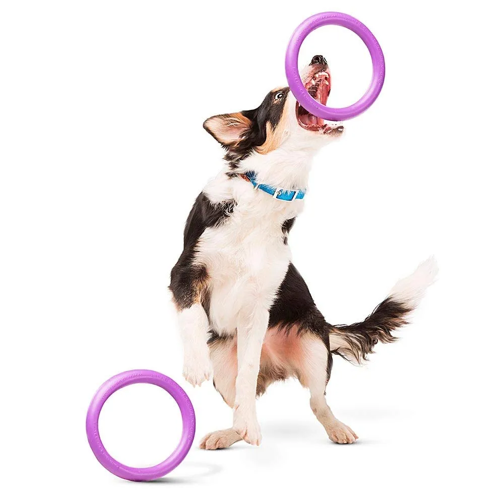 Ferplast Gioco Cane, Anello Addestramento Cani da Masticare, per Corsa, Salto, Tiro, Materiale Robusto Atossico, Galleggiante, PULLER MIDI, Giochi per Cane Piccolo e Medio, Set di 2 Anelli Fitness - immagine 6