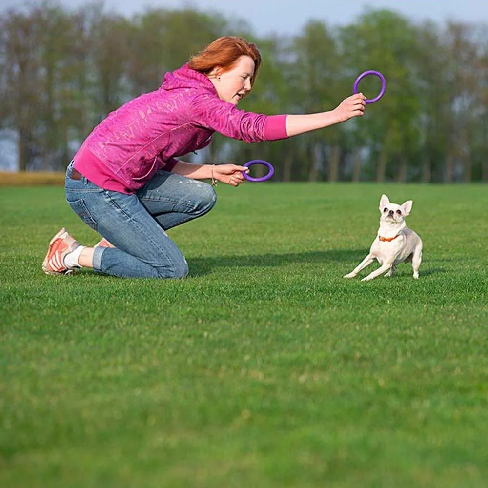 Ferplast Gioco Cane, Anello Addestramento Cani da Masticare, per Corsa, Salto, Tiro, Materiale Robusto Atossico, Galleggiante, PULLER MICRO, Giochi Cane Piccolo e Cuccioli, Set di 2 Anelli Fitness - immagine 2