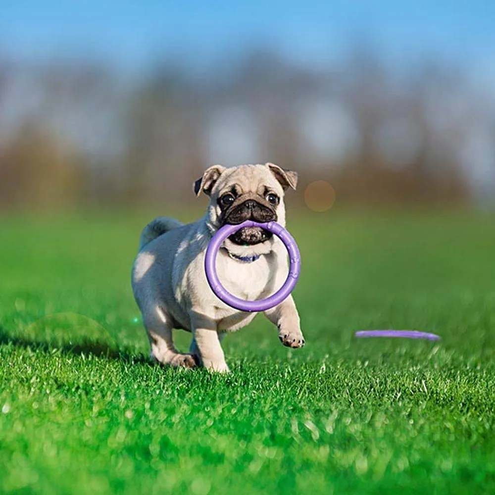 Ferplast Gioco Cane, Anello Addestramento Cani da Masticare, per Corsa, Salto, Tiro, Materiale Robusto Atossico, Galleggiante, PULLER MICRO, Giochi Cane Piccolo e Cuccioli, Set di 2 Anelli Fitness - immagine 3