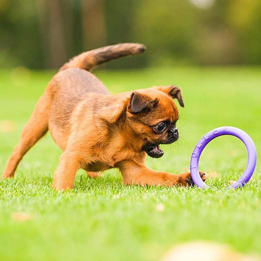 Ferplast Gioco Cane, Anello Addestramento Cani da Masticare, per Corsa, Salto, Tiro, Materiale Robusto Atossico, Galleggiante, PULLER MICRO, Giochi Cane Piccolo e Cuccioli, Set di 2 Anelli Fitness - immagine 4