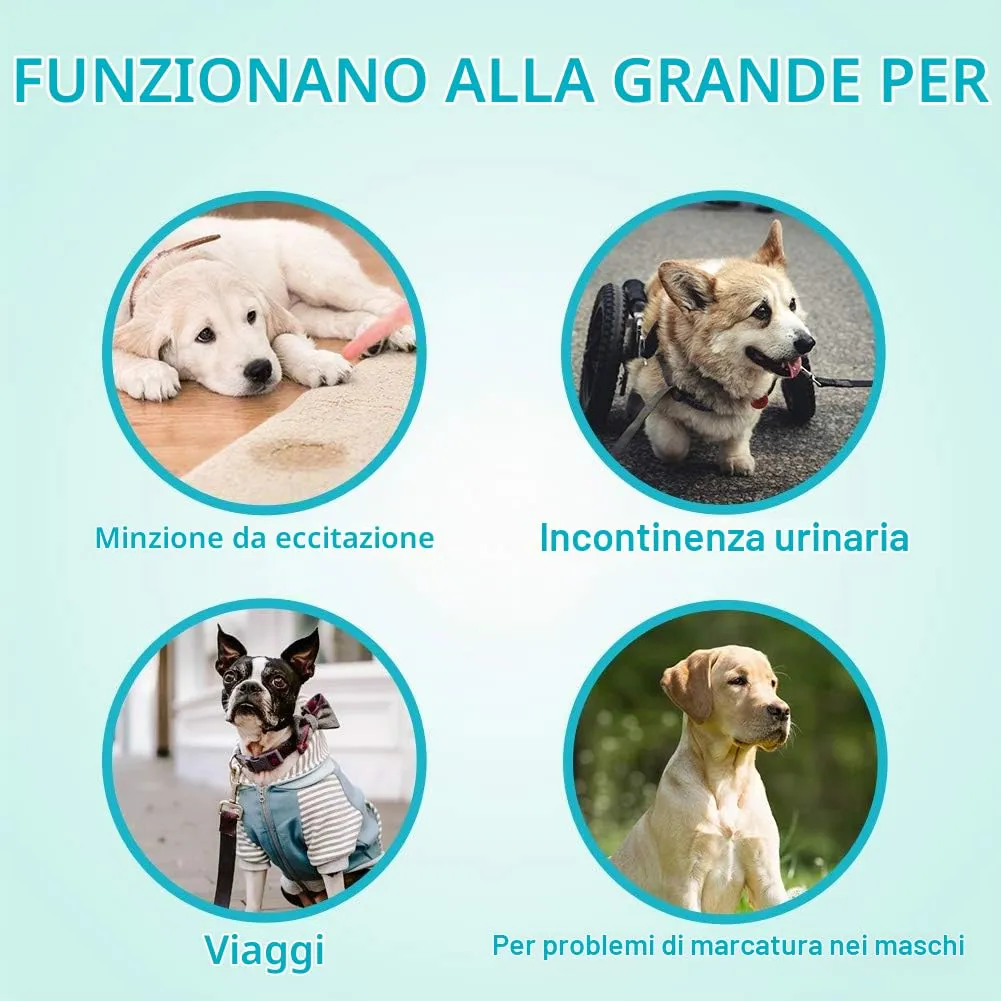 Pannolini USA e Getta per Cani Involucri Maschili - Pannolini Morbidi Super assorbenti per Cani Maschi per Problemi di marcatura di Cani Maschi, incontinenza urinaria - immagine 4