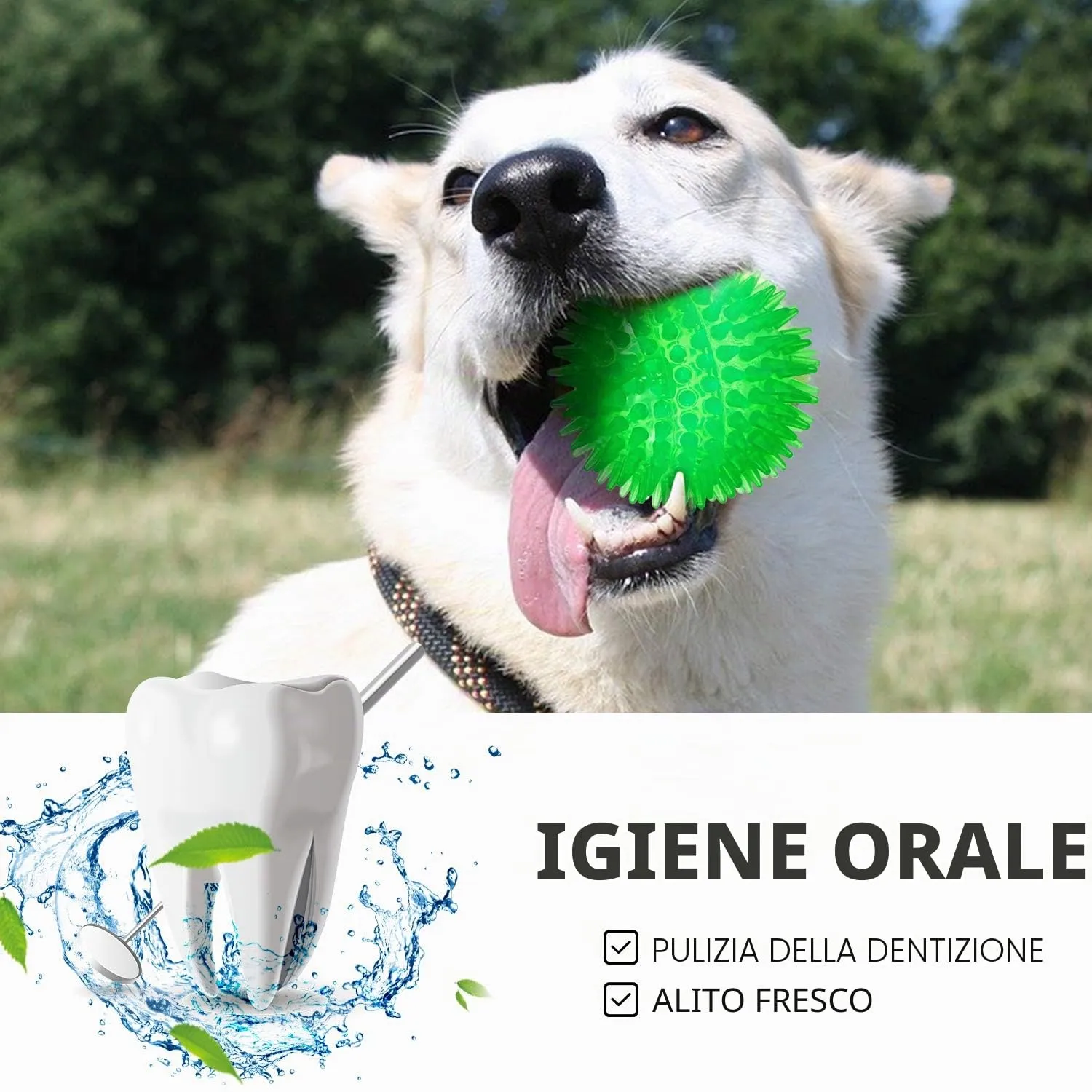 Palline cigolanti per cani di piccole dimensioni, palline da riporto per cani in gomma confezione da 6 colori vivaci in TPR, giocattoli per cuccioli, palline giocattolo per cani - immagine 6