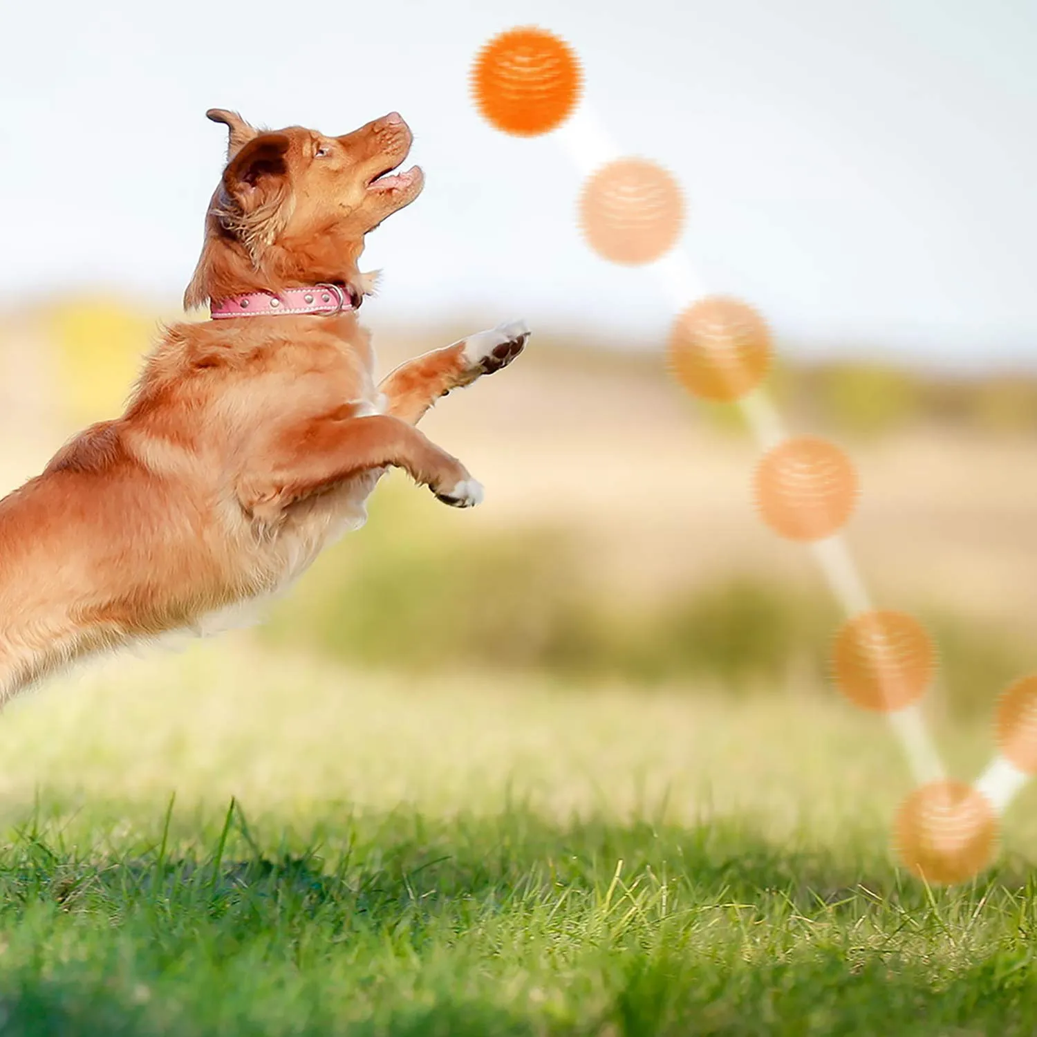 Palline cigolanti per cani di piccole dimensioni, palline da riporto per cani in gomma confezione da 6 colori vivaci in TPR, giocattoli per cuccioli, palline giocattolo per cani - immagine 8