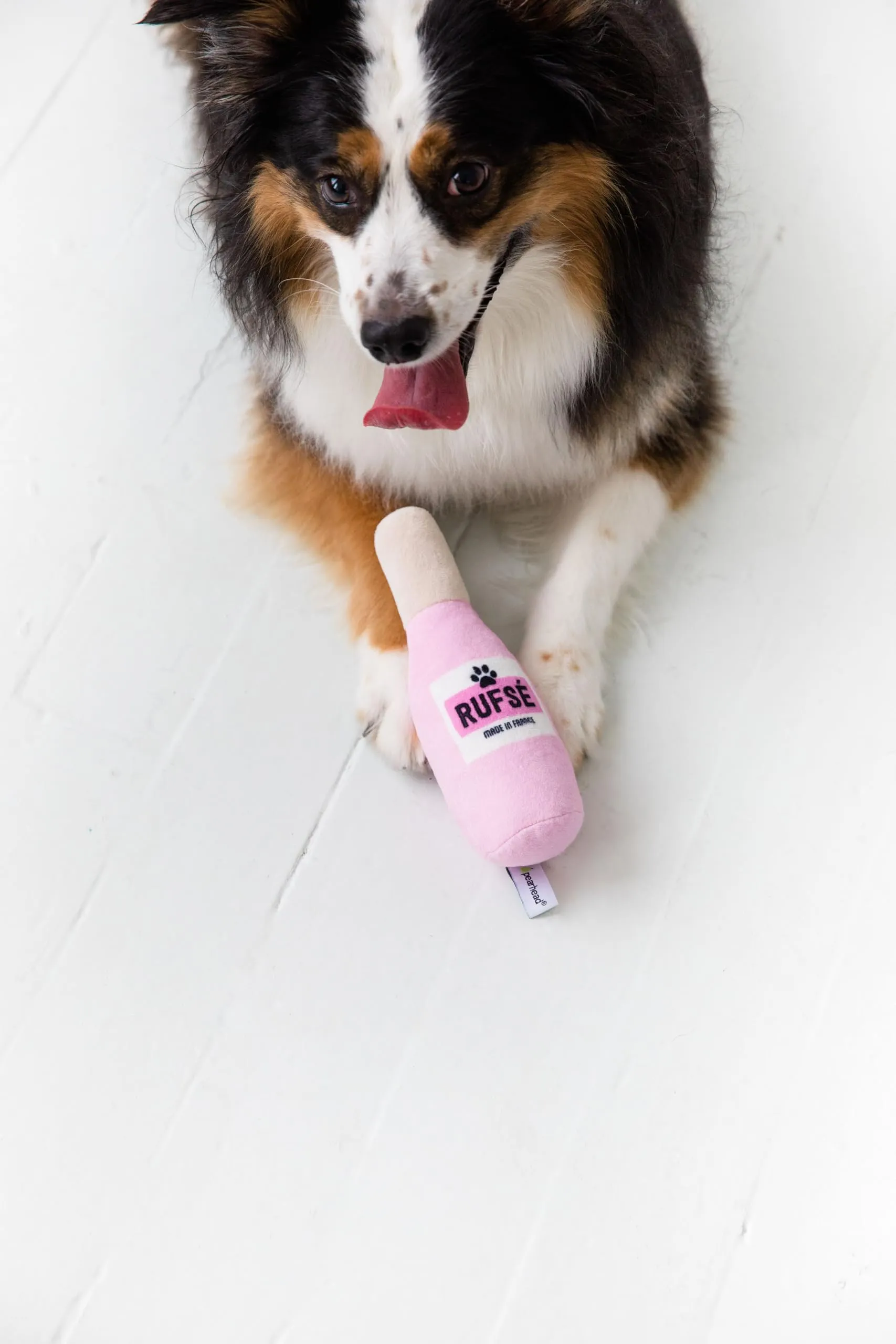 Pearhead Set di 3 giocattoli per cani in peluche, birra, vino e rosa, giocattoli per cani, regalo per genitori di animali domestici, set di 3 giocattoli - immagine 5