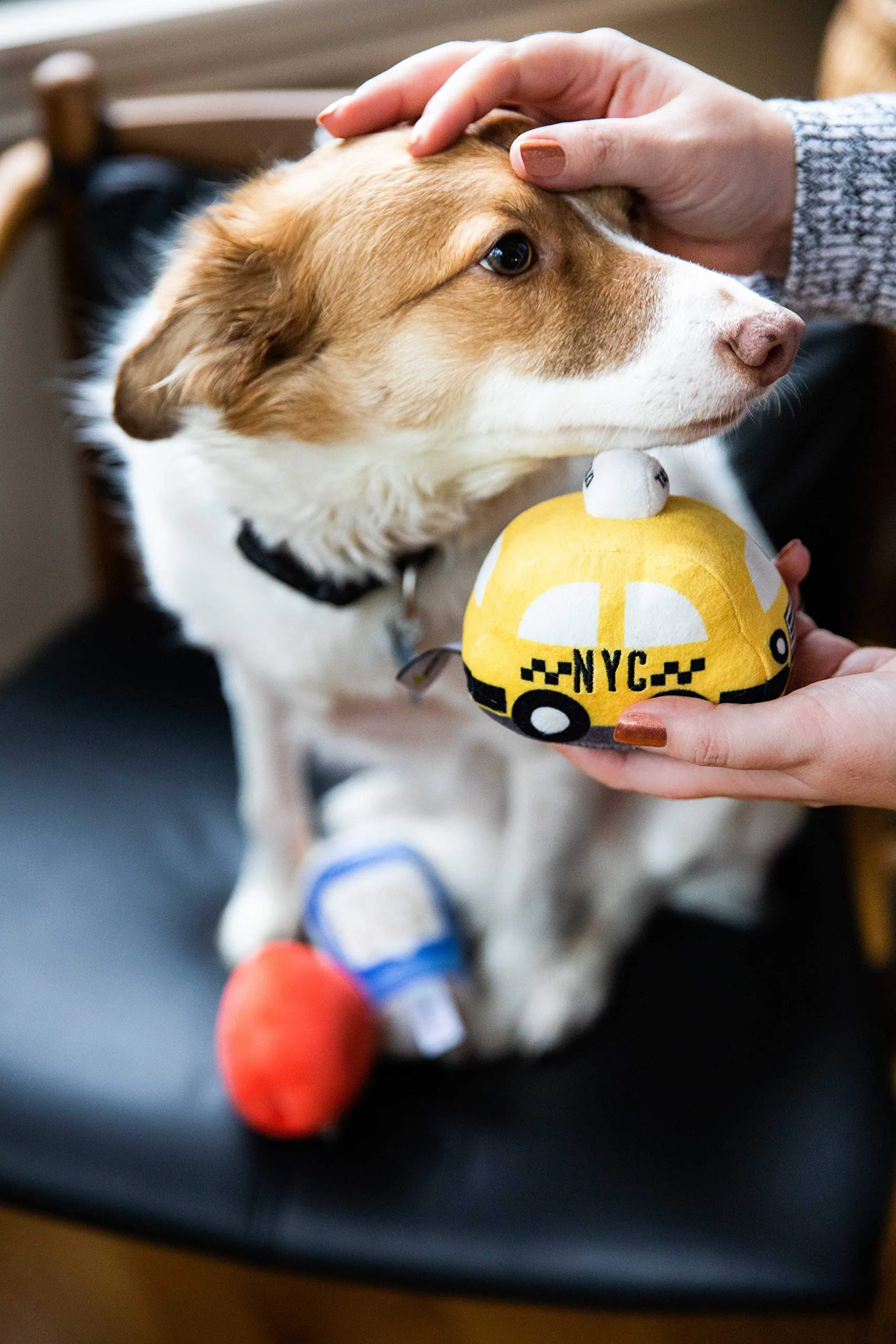 Pearhead New Bark City - Set di 3 giocattoli per cani di peluche New York City, giocattoli per cani che scricchiolano - immagine 5