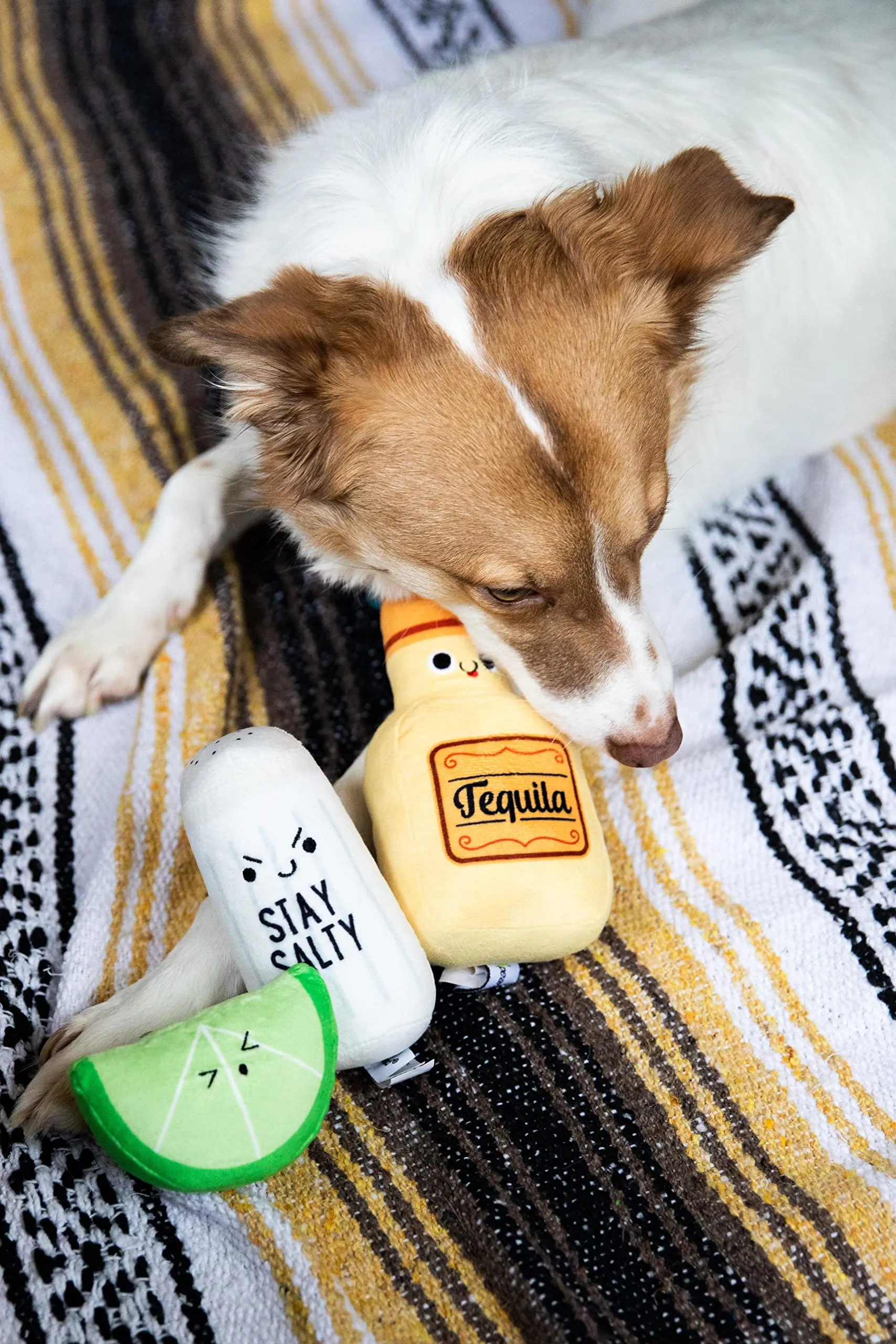 Pearhead Set di 3 giocattoli per cani in peluche Tequila Shots Tequila al sale e lime per cani, regali per genitori di animali domestici, set di 3 giocattoli - immagine 9