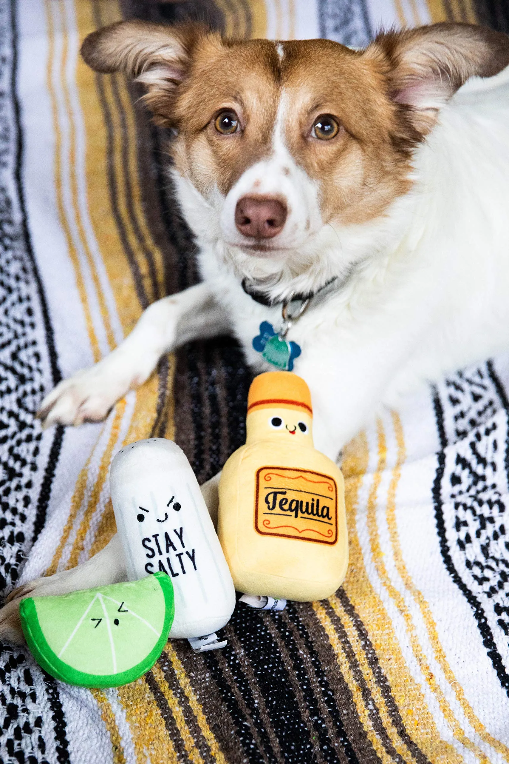 Pearhead Set di 3 giocattoli per cani in peluche Tequila Shots Tequila al sale e lime per cani, regali per genitori di animali domestici, set di 3 giocattoli - immagine 10