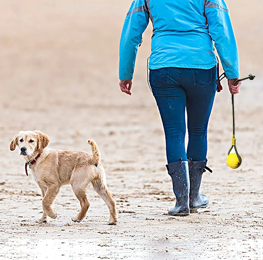 MMSGA Palla Per Cani Con Corda, Palla da Addestramento Per Cani in Schiuma, Palla Giocattolo Galleggiante Per Cani, Giocattolo Per Rimorchiatore Per Cani Piccolo Medio Grande (7 cm) - immagine 3