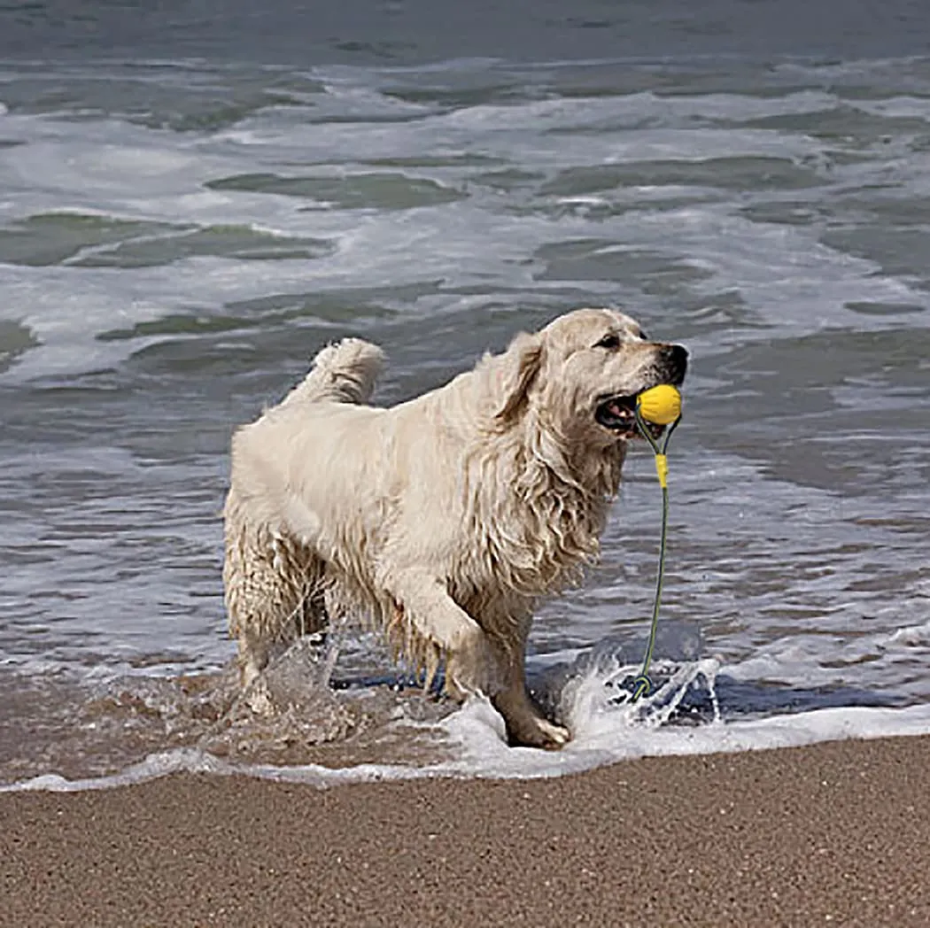 MMSGA Palla Per Cani Con Corda, Palla da Addestramento Per Cani in Schiuma, Palla Giocattolo Galleggiante Per Cani, Giocattolo Per Rimorchiatore Per Cani Piccolo Medio Grande (7 cm) - immagine 5