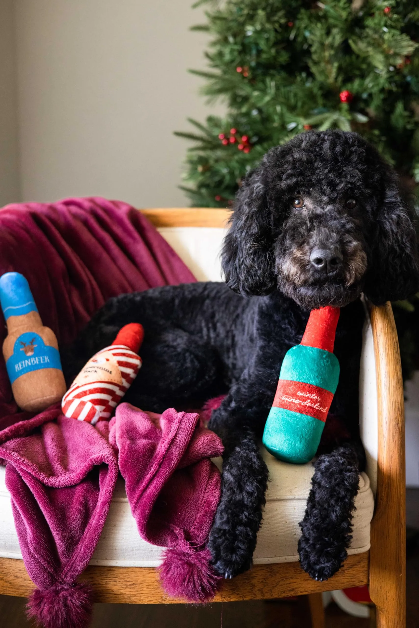 Pearhead Holiday Spirits - Set di 3 giocattoli per cani in peluche a tema spiriti, giocattoli per cani che scricchiolano - immagine 3