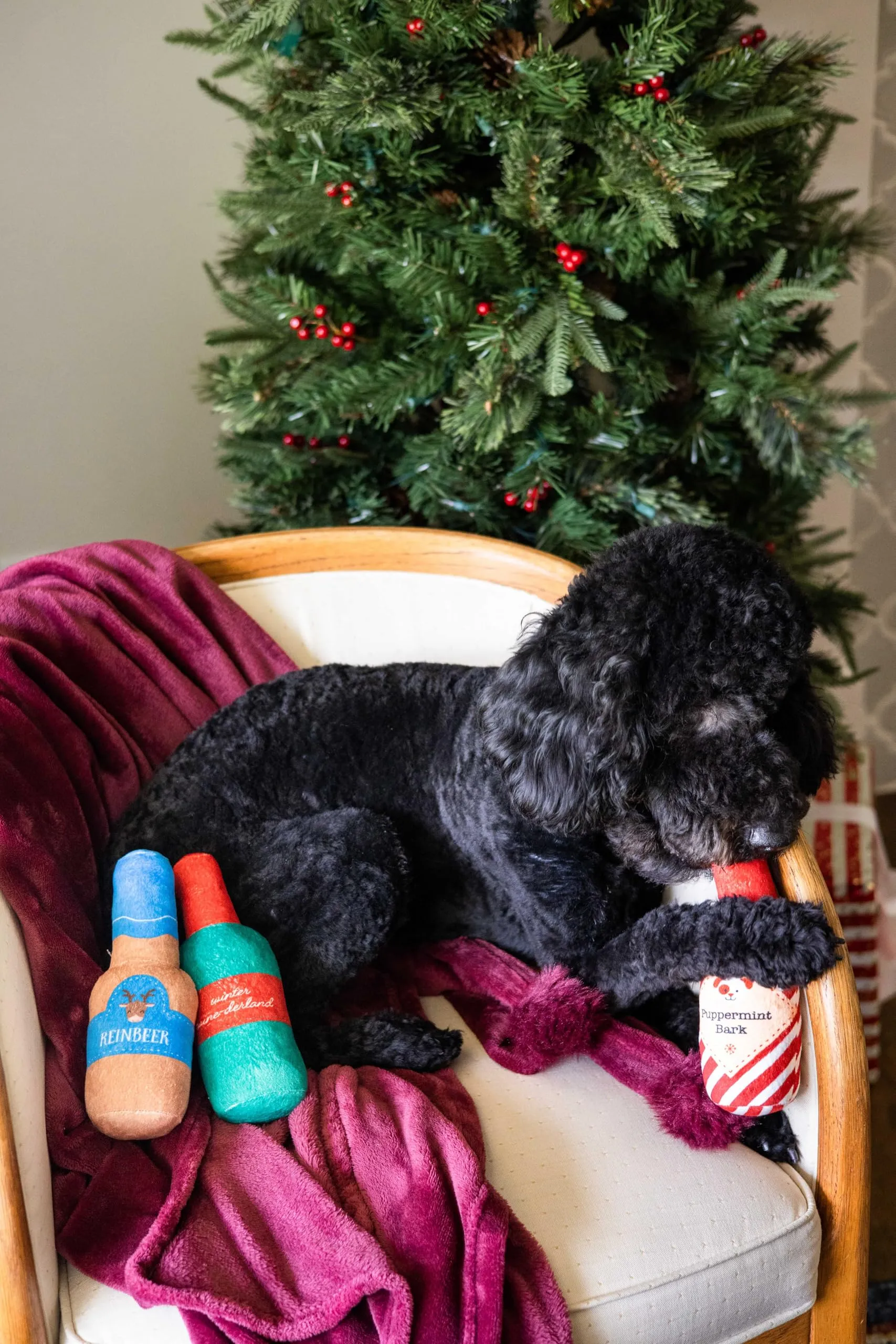 Pearhead Holiday Spirits - Set di 3 giocattoli per cani in peluche a tema spiriti, giocattoli per cani che scricchiolano - immagine 4