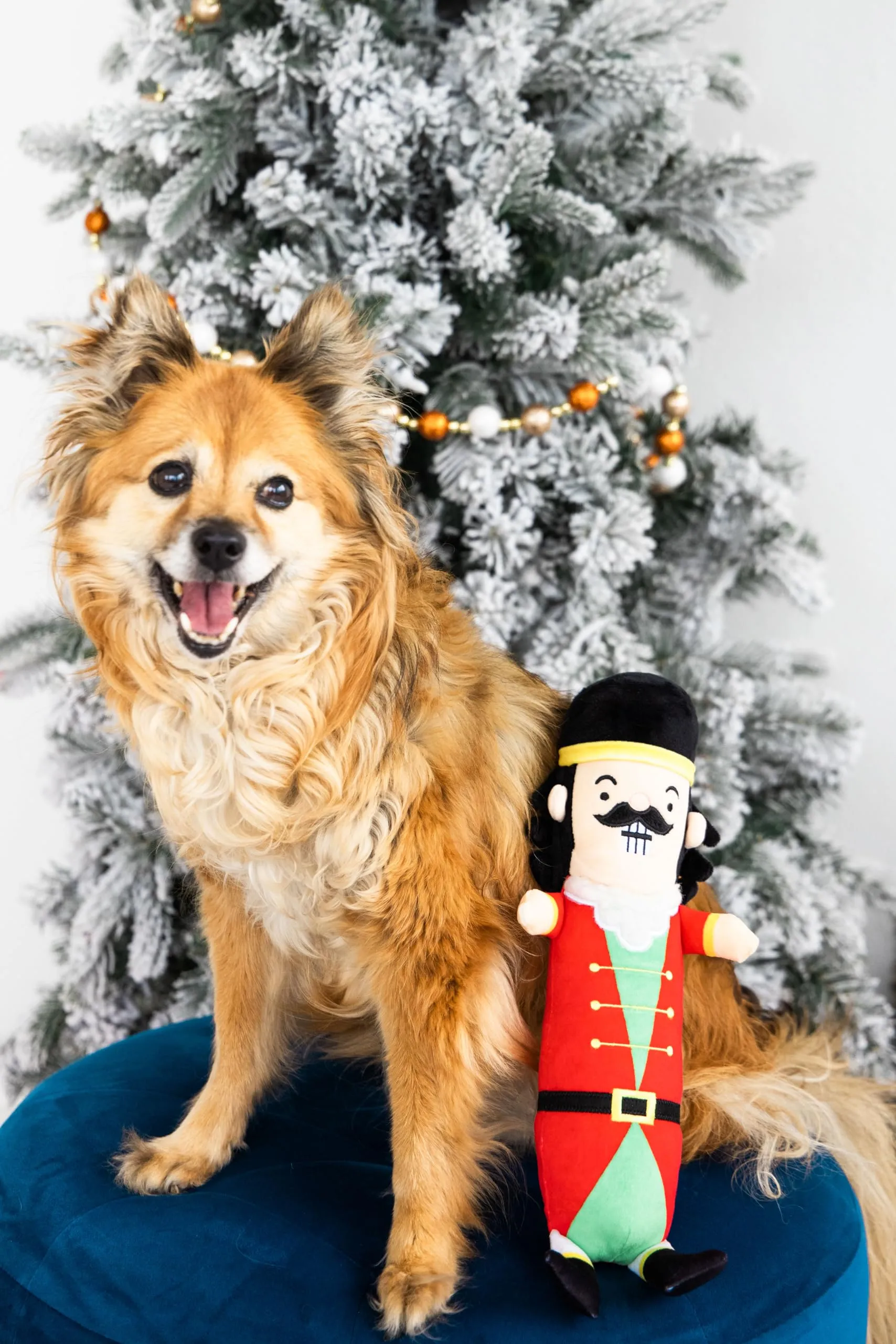 Pearhead - Giocattolo per cani a forma di schiaccianoci, peluche per cani, giocattolo per animali domestici con cigolatore, giocattolo per cani di Natale - immagine 5