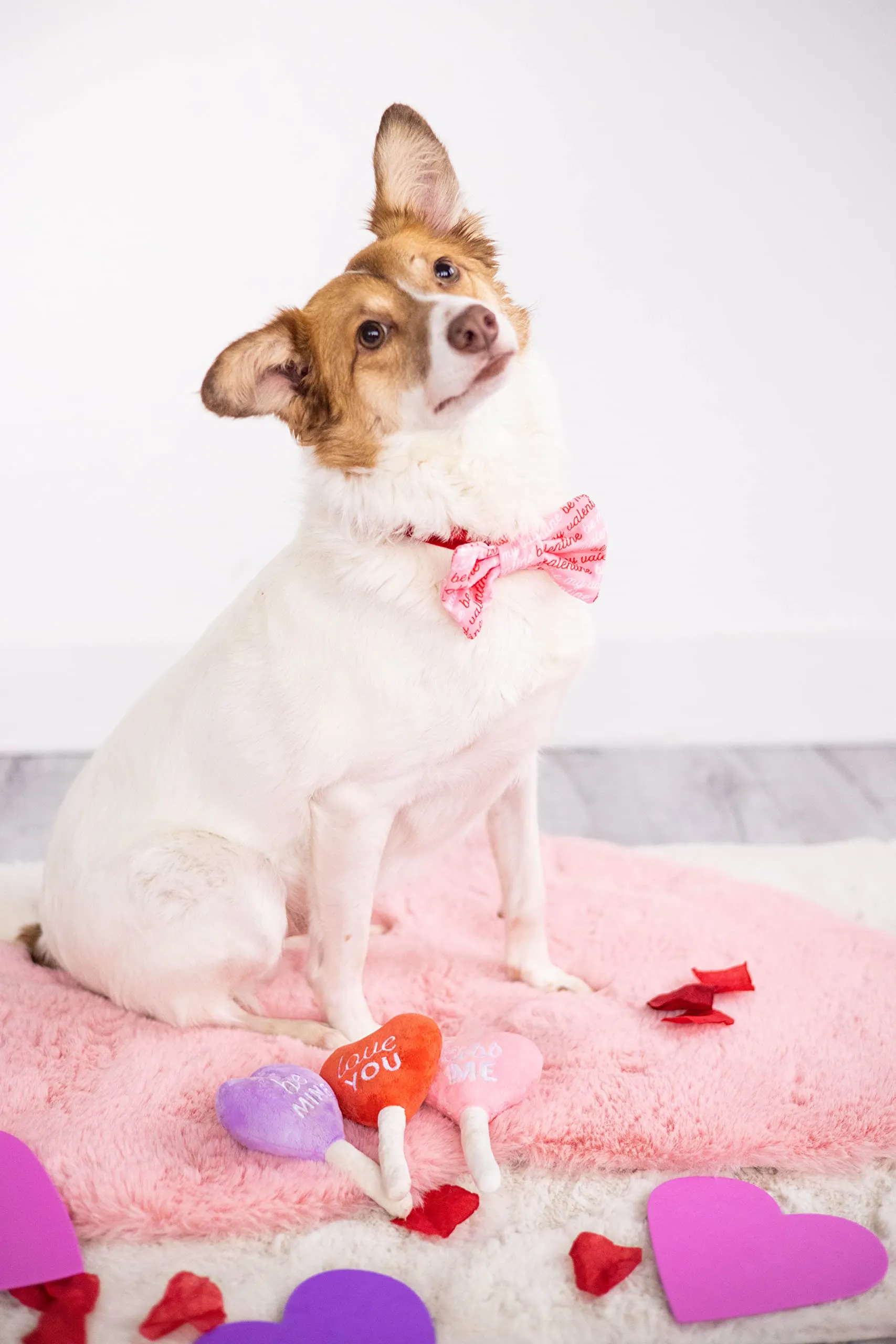 Pearhead Set di 3 giocattoli per cani in peluche per San Valentino, giocattoli interattivi da masticare per cani, caramelle e ghiaccioli - immagine 2