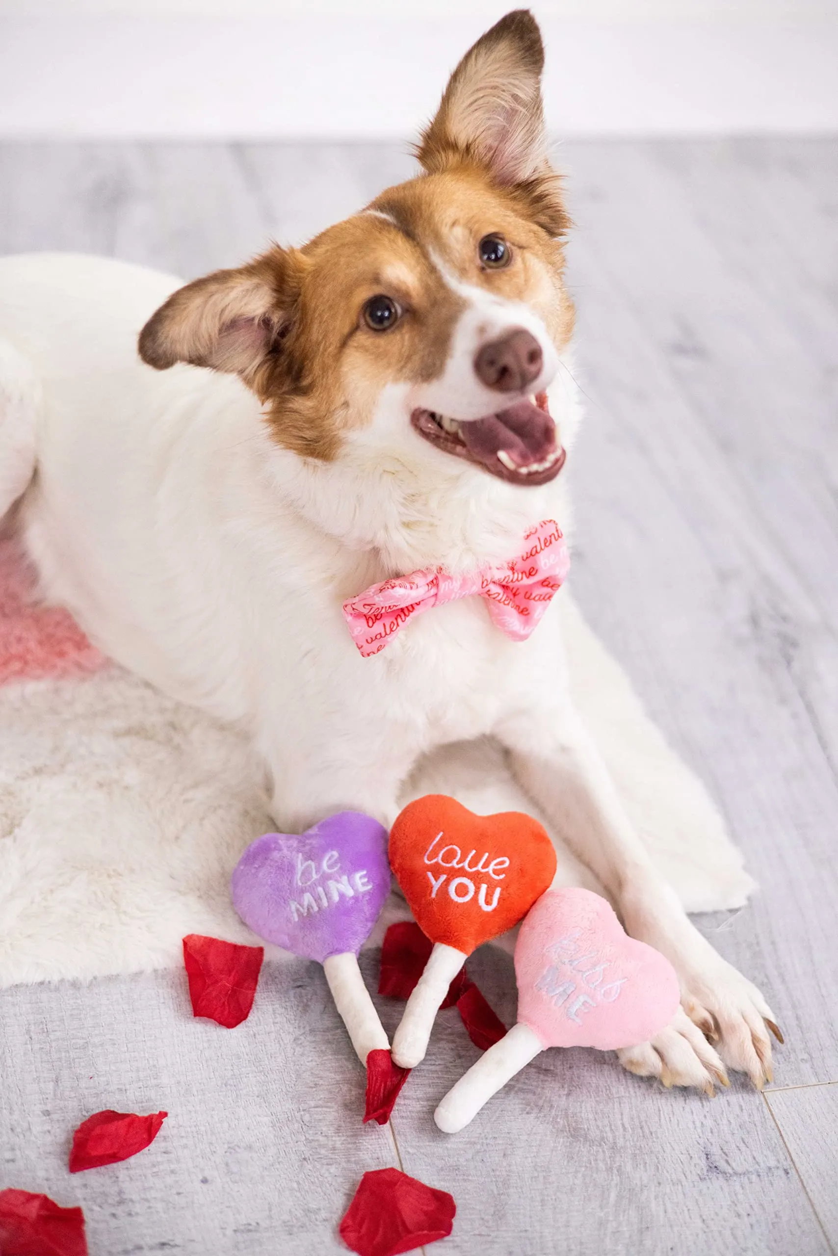 Pearhead Set di 3 giocattoli per cani in peluche per San Valentino, giocattoli interattivi da masticare per cani, caramelle e ghiaccioli - immagine 3