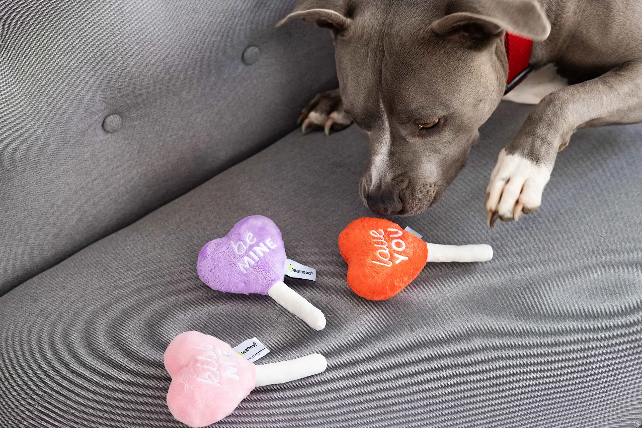 Pearhead Set di 3 giocattoli per cani in peluche per San Valentino, giocattoli interattivi da masticare per cani, caramelle e ghiaccioli - immagine 5