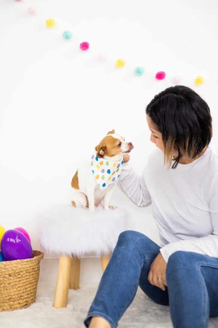 Pearhead Jelly Beans, bandana per animali domestici, bandana per cani con caramelle pasquali, abbigliamento per cani, accessorio per animali domestici, S/M - immagine 4