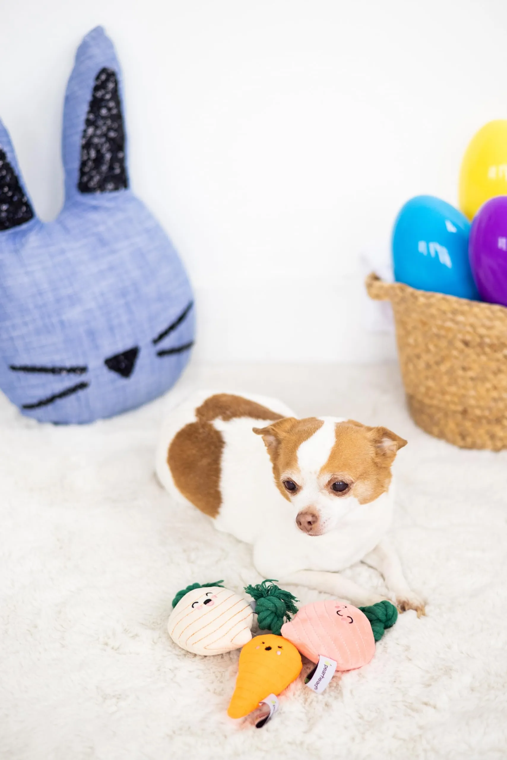 Pearhead Spring Garden Veggies - Set di 3 giocattoli per cani, ravanello, carota e rapa, regalo per genitori di animali domestici, giocattoli per cani di peluche a base di verdure - immagine 2