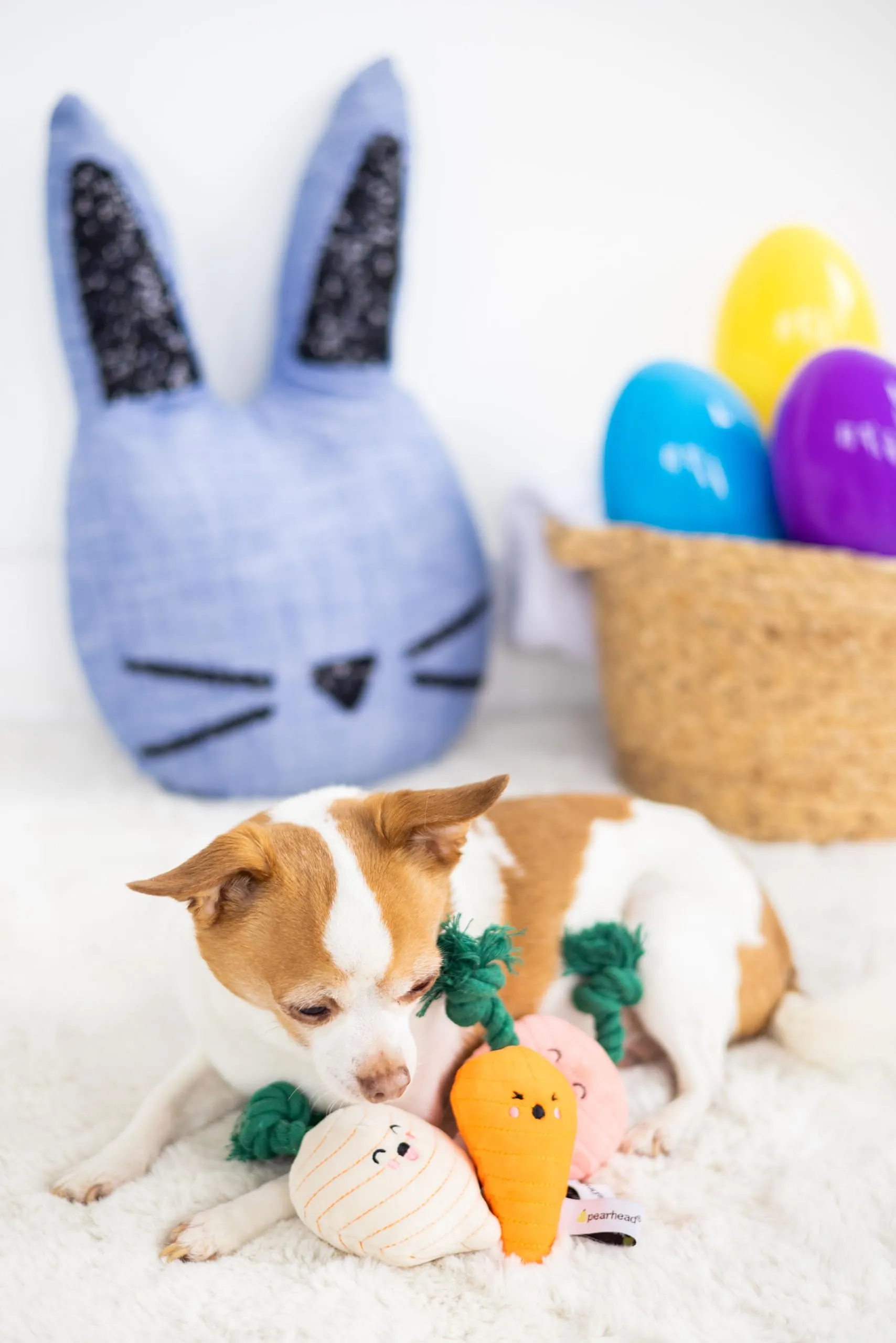 Pearhead Spring Garden Veggies - Set di 3 giocattoli per cani, ravanello, carota e rapa, regalo per genitori di animali domestici, giocattoli per cani di peluche a base di verdure - immagine 3