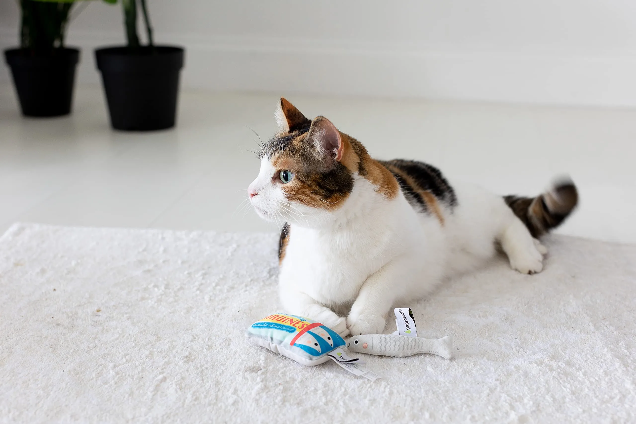 Pearhead Giocattoli per animali domestici, giocattoli sonori per cani e giocattoli per gatti, proprietari di cani e proprietari di gatti, set di giocattoli per animali domestici, accessori - immagine 2