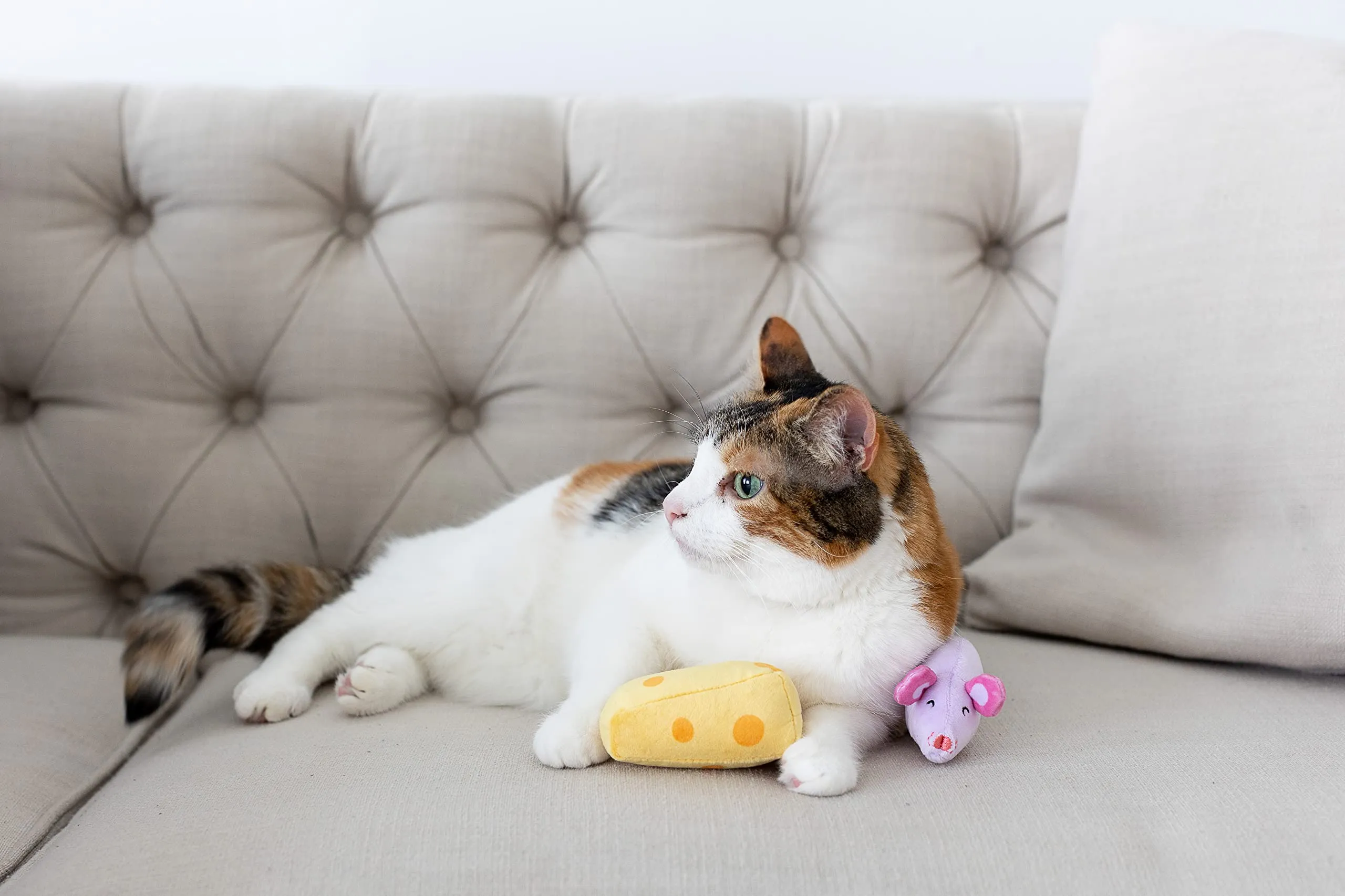 Pearhead Giocattolo per animali domestici, giocattolo squittio per cani e gatti, proprietari di cani e gatti, set di giocattoli per animali domestici, accessorio indispensabile per i proprietari di - immagine 4
