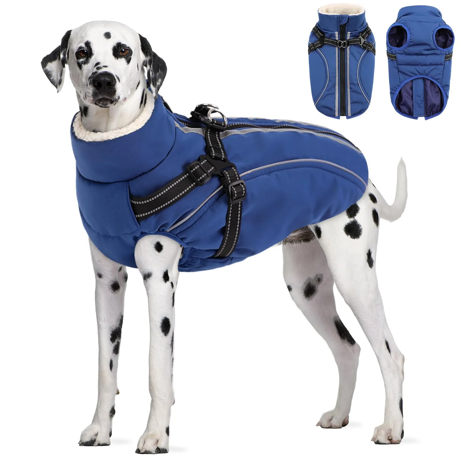 CITÉTOILE Cappotto Invernale per Cani Impermeabile Giacca Calda Blu XL - immagine 1