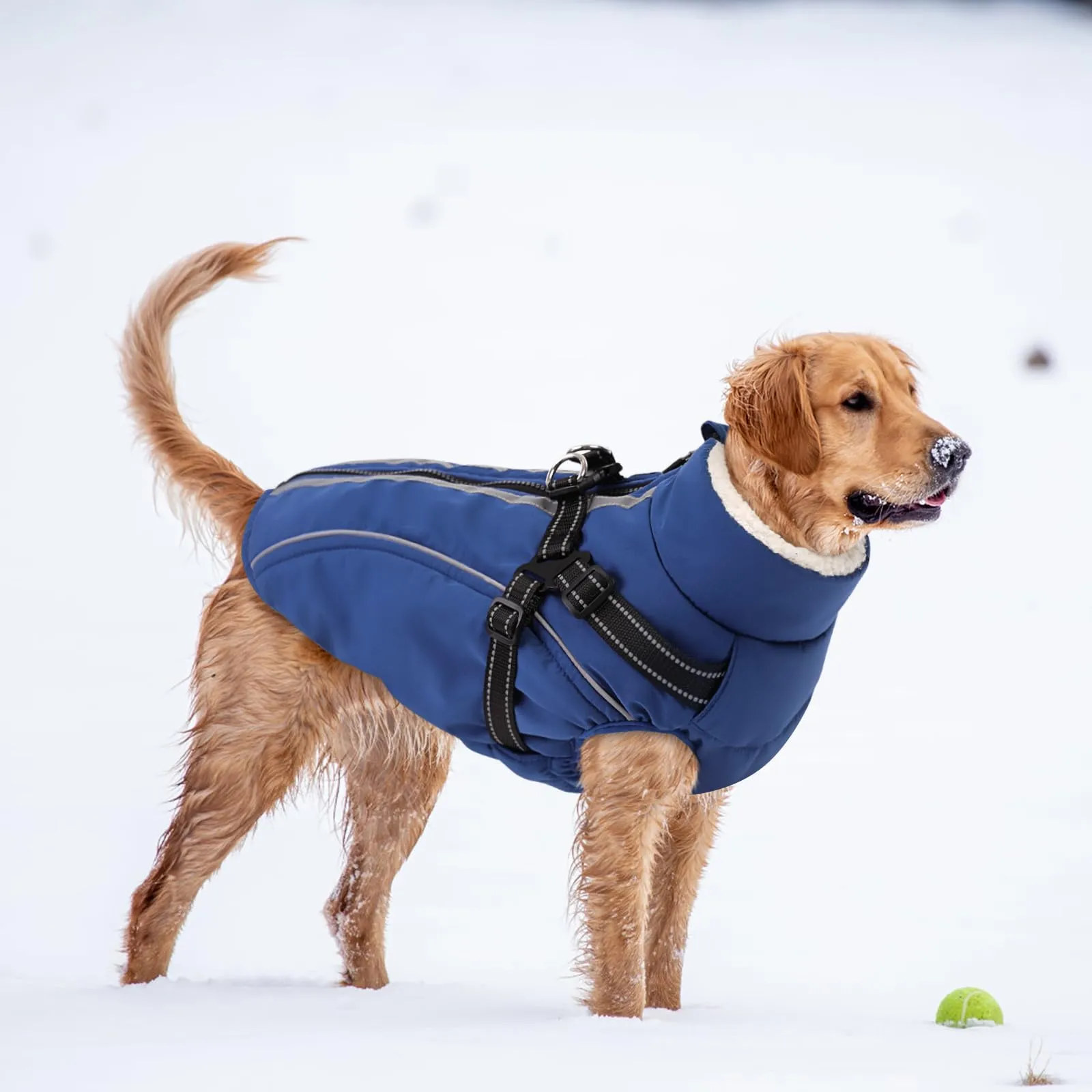 CITÉTOILE Cappotto Invernale per Cani Impermeabile Giacca Calda Blu XL - immagine 6