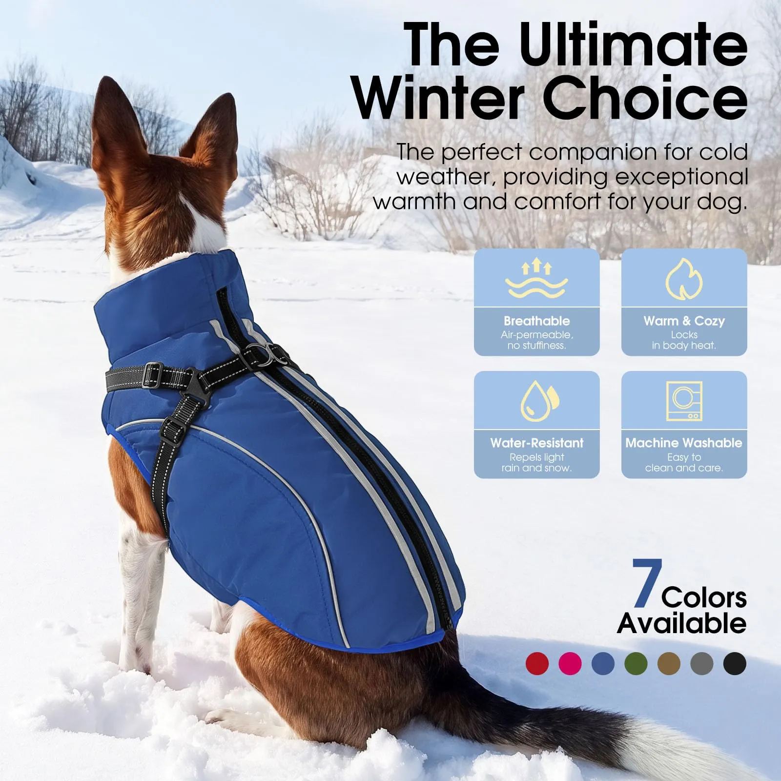 CITÉTOILE Cappotto Invernale per Cani Impermeabile Giacca Calda Blu L - immagine 5