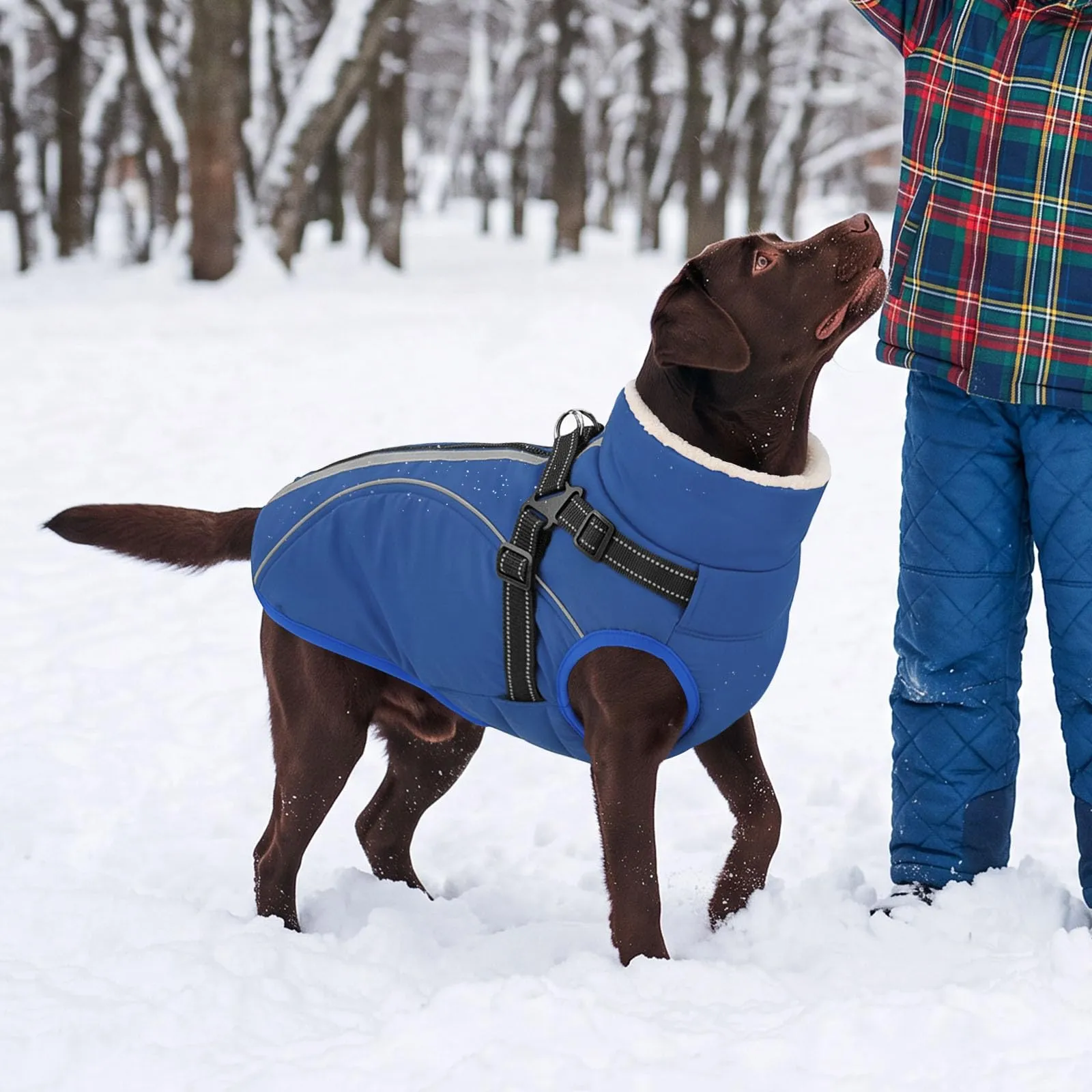 CITÉTOILE Cappotto Invernale per Cani Impermeabile Giacca Calda Blu L - immagine 7