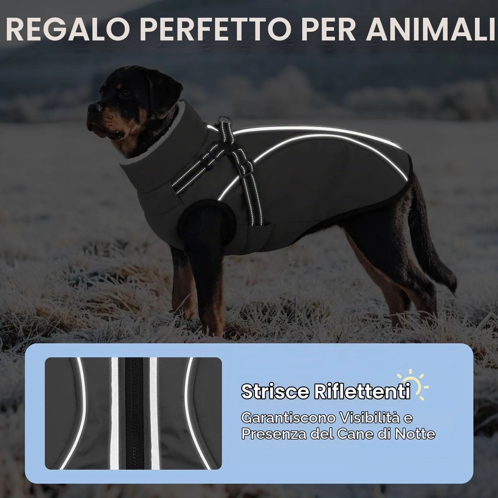 CITÉTOILE Cappotto Invernale per Cani Impermeabile Giacca Calda Grigio S - immagine 3